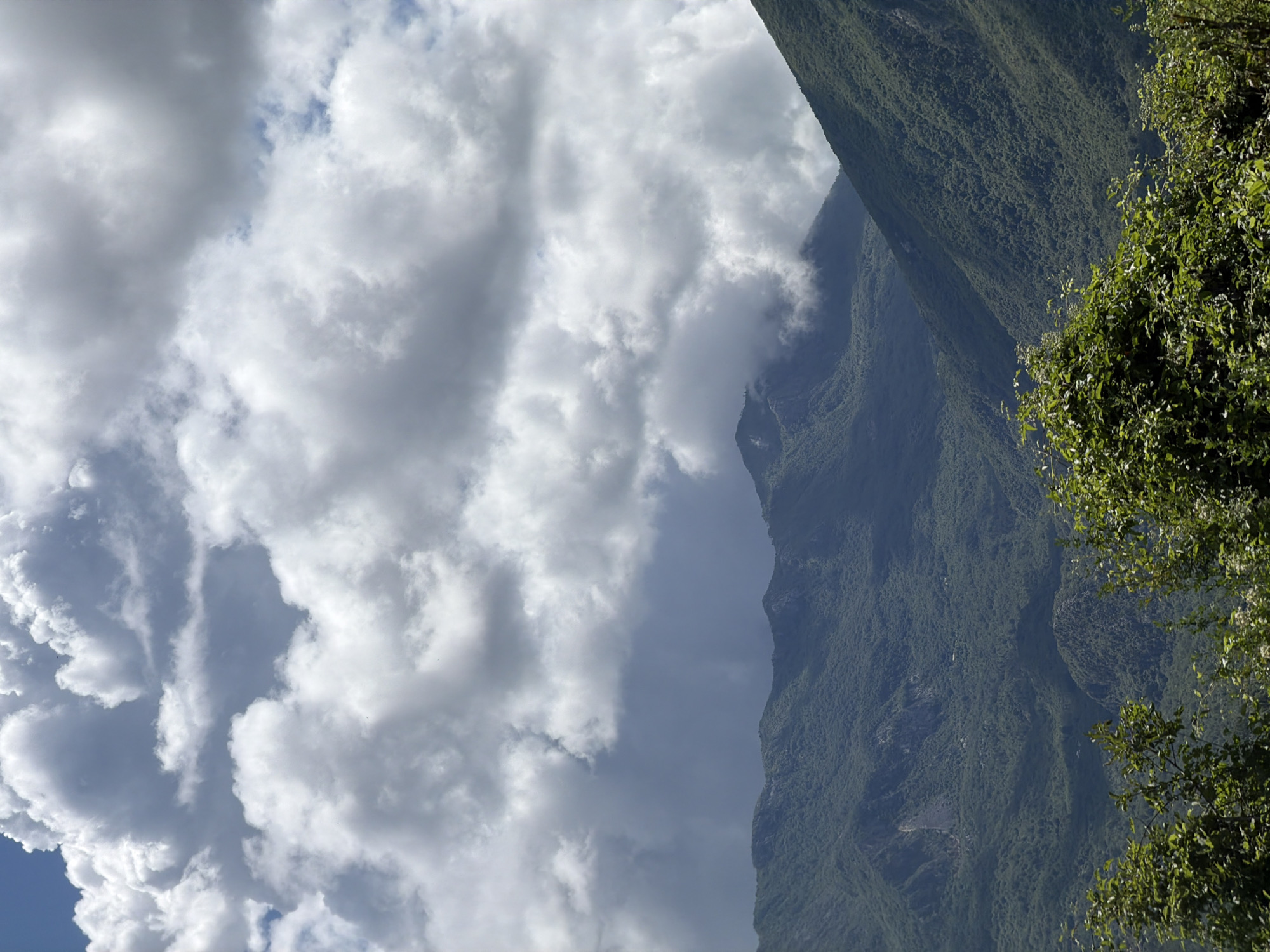 The image captures a vast, verdant mountainous landscape under a partly cloudy sky. The majority of the frame features towering mountains covered in dense, dark green foliage, indicative of a heavily forested region. The slopes appear steep and rugged.
Above the mountains, a dynamic sky is visible, filled with large, volumetric cumulus clouds. These clouds range from brilliant white, illuminated by sunlight, to darker grey patches, suggesting varying thickness and shadows. Patches of clear blue sky peek through the cloud cover.
In the extreme foreground, on the right side of the image, lush green foliage from a tree or bush partially frames the scene, hinting at the observer's position being within or very close to a forested area, looking out over the valley and opposing peaks.
The lighting suggests a bright daytime scene, likely late morning or early afternoon, with clear visibility of the natural features. There are no people, man-made objects, or visible text in the image. The scene evokes a sense of natural grandeur and tranquility, characteristic of mountainous regions like Sotonići, Montenegro.