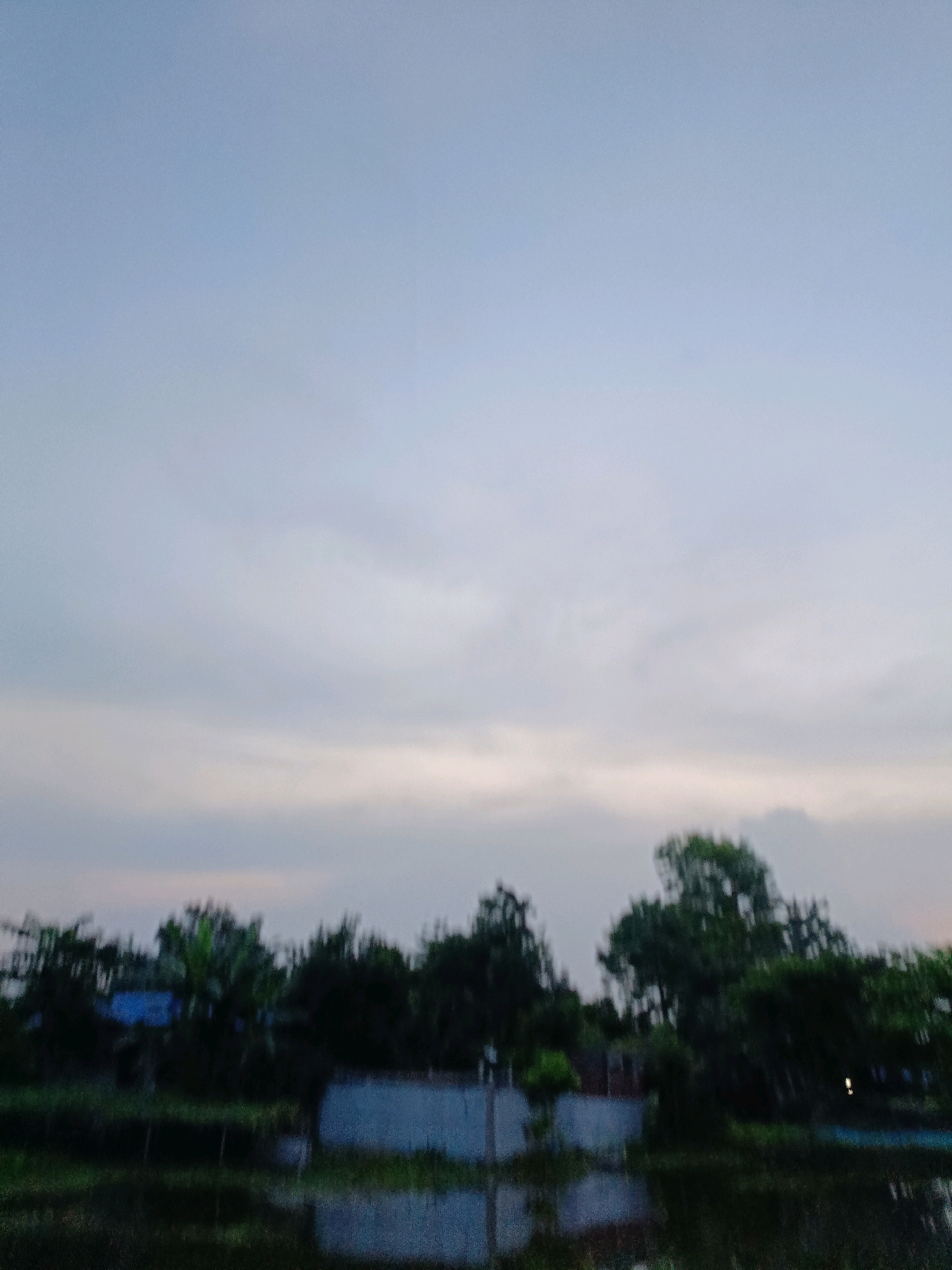 The image depicts a blurry, outdoor scene that appears to be in or near Barpeta, India, possibly during twilight. The sky is a muted blue with some faint clouds, and the horizon is lined with a dense array of trees, some of which have visible foliage. Below the trees, there are glimpses of structures, including what appear to be buildings with blue and white walls. In the foreground, there is a dark body of water that reflects the sky and the surrounding greenery. The overall impression is one of a rural or semi-rural landscape, likely at the edge of a village or town, with a body of water and vegetation prominent. The blurriness of the image suggests it may have been taken with a moving camera or in low light conditions.