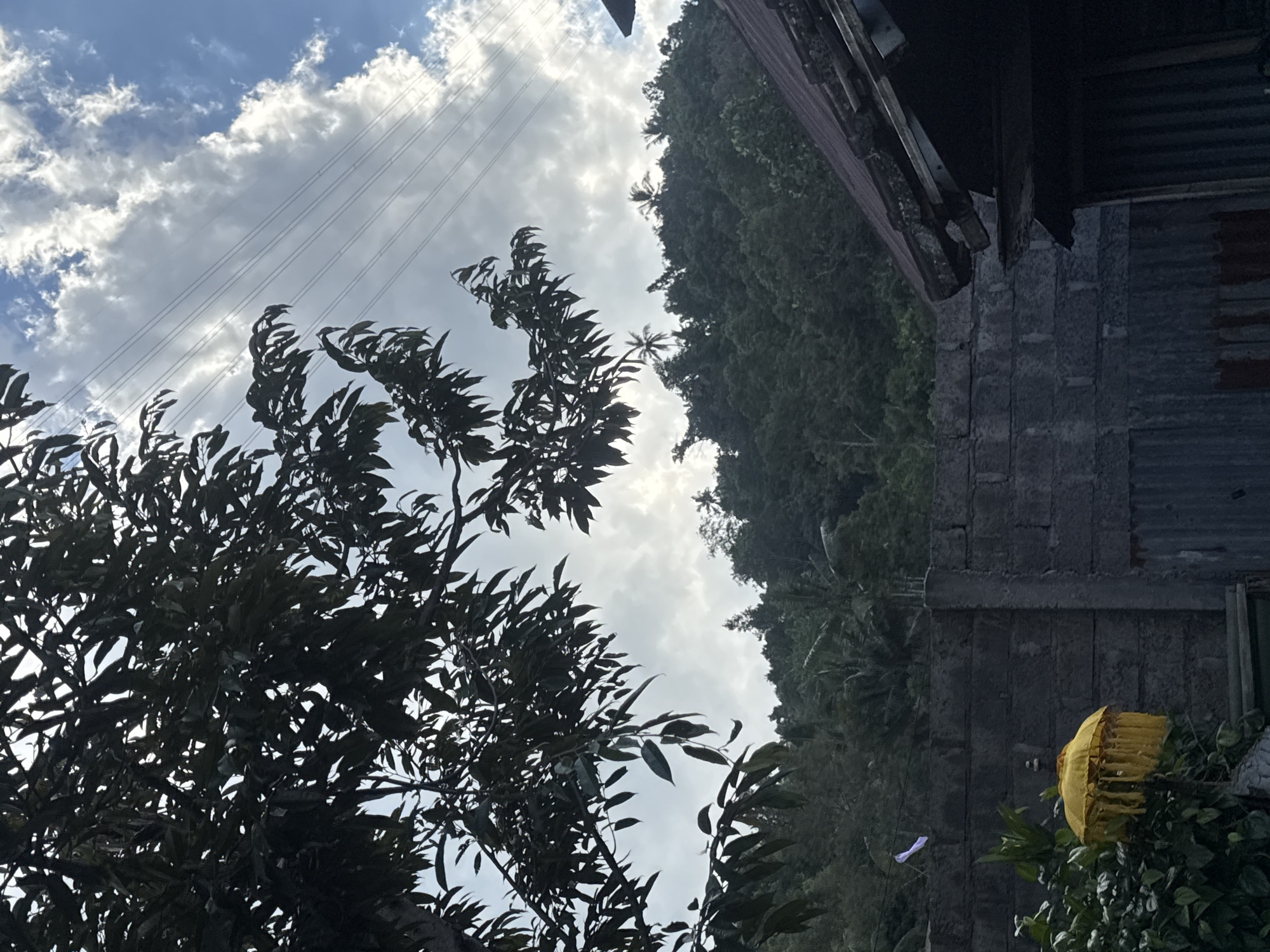 The image depicts a serene outdoor scene in Busungbiu, Indonesia, under a partially cloudy sky. In the foreground, a dark green foliage of a tree branches out from the left side of the frame, its leaves silhouetted against the sky. Below the tree, a grey brick wall stands, with a weathered corrugated metal structure to its right. A bright yellow, fringed umbrella-like object is visible to the left of the wall, partially obscured by green plants. In the mid-ground, a lush green hillside covered in dense vegetation and scattered palm trees rises, creating a backdrop for the scene. Power lines are faintly visible crisscrossing the sky above the hillside. The overall impression is one of a quiet, rural setting in the Indonesian countryside.