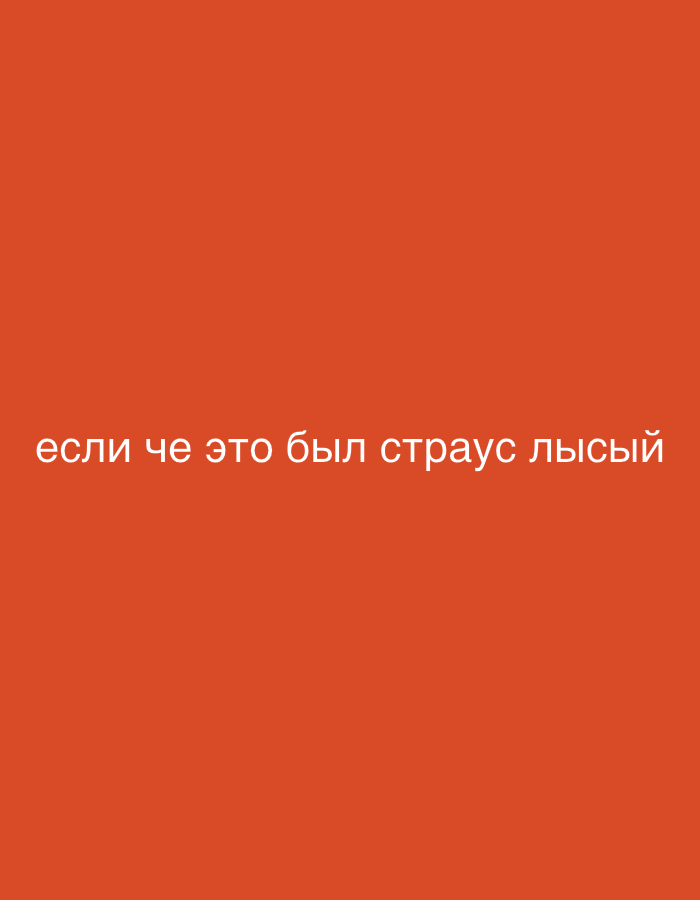 The image displays white text against an orange background. The text reads "если че это был страус лысый". There are no other elements visible in the image. The location in the city of Zvezdara Urban Municipality, Serbia, is not determinable from the provided image.