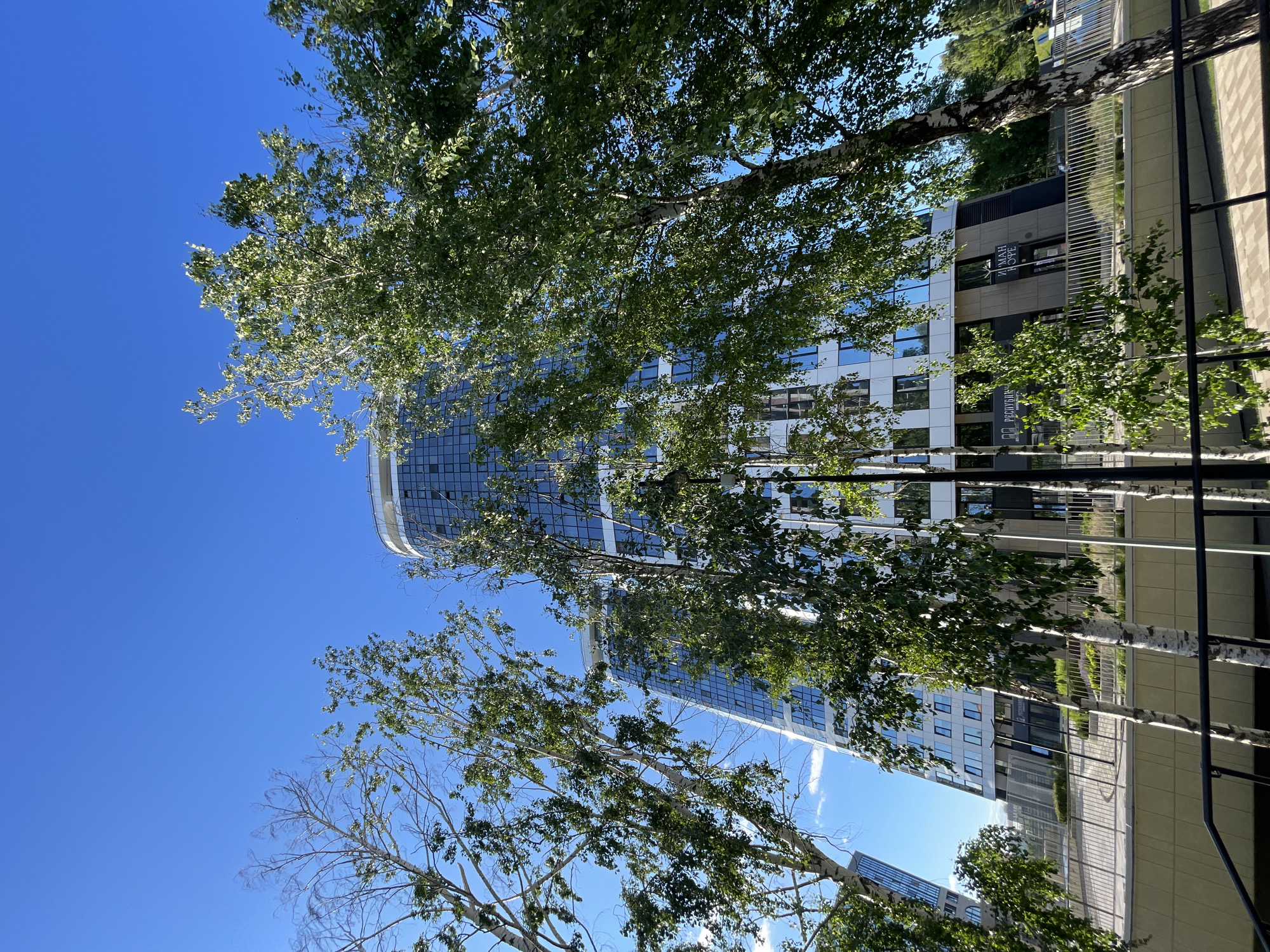 In a low-angle shot taken in Unknown, Unknown, a contemporary, multi-story building with a white facade and numerous glass windows dominates the frame against a clear blue sky. Several slender birch trees with white bark and green foliage are positioned in the foreground and midground, partially obscuring the building. The trees' branches extend upwards, creating a natural frame for the architectural structure. The building features a curved design at its upper section, and the ground level appears to have an entrance with signage. The scene suggests an urban environment with a blend of modern architecture and natural elements.