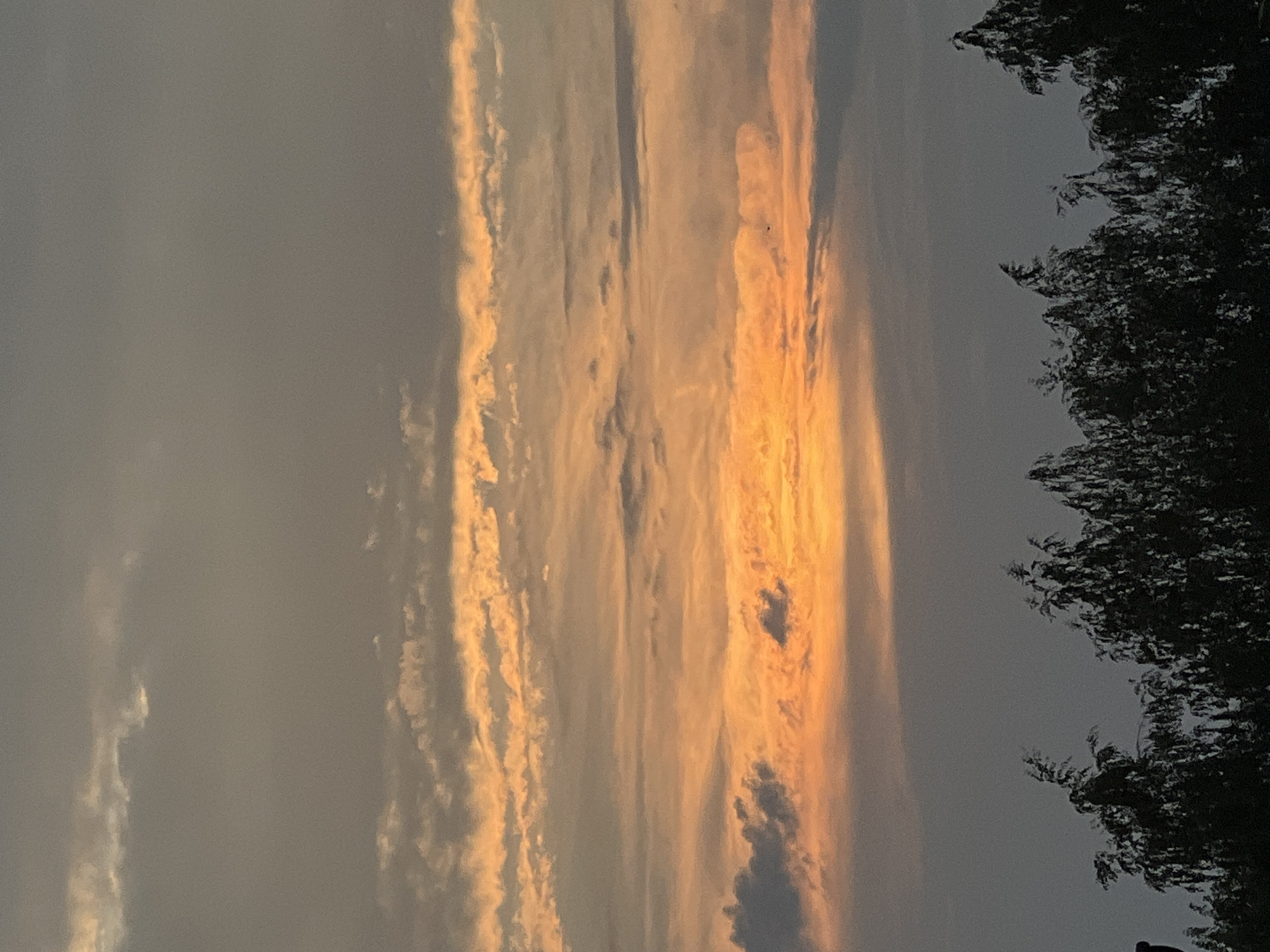 The image depicts a sunset over a rural or suburban landscape, likely in or near Dys, Poland. The sky is dominated by shades of orange, yellow, and grey clouds, with a bright band of sunlight visible near the horizon. Below the sky, the silhouettes of trees are visible, their branches creating a dark, textured line against the lighter background. The overall mood is serene and peaceful. The scene is devoid of any human presence or specific landmarks that would definitively pinpoint the location within Dys, Poland, beyond a general natural setting.