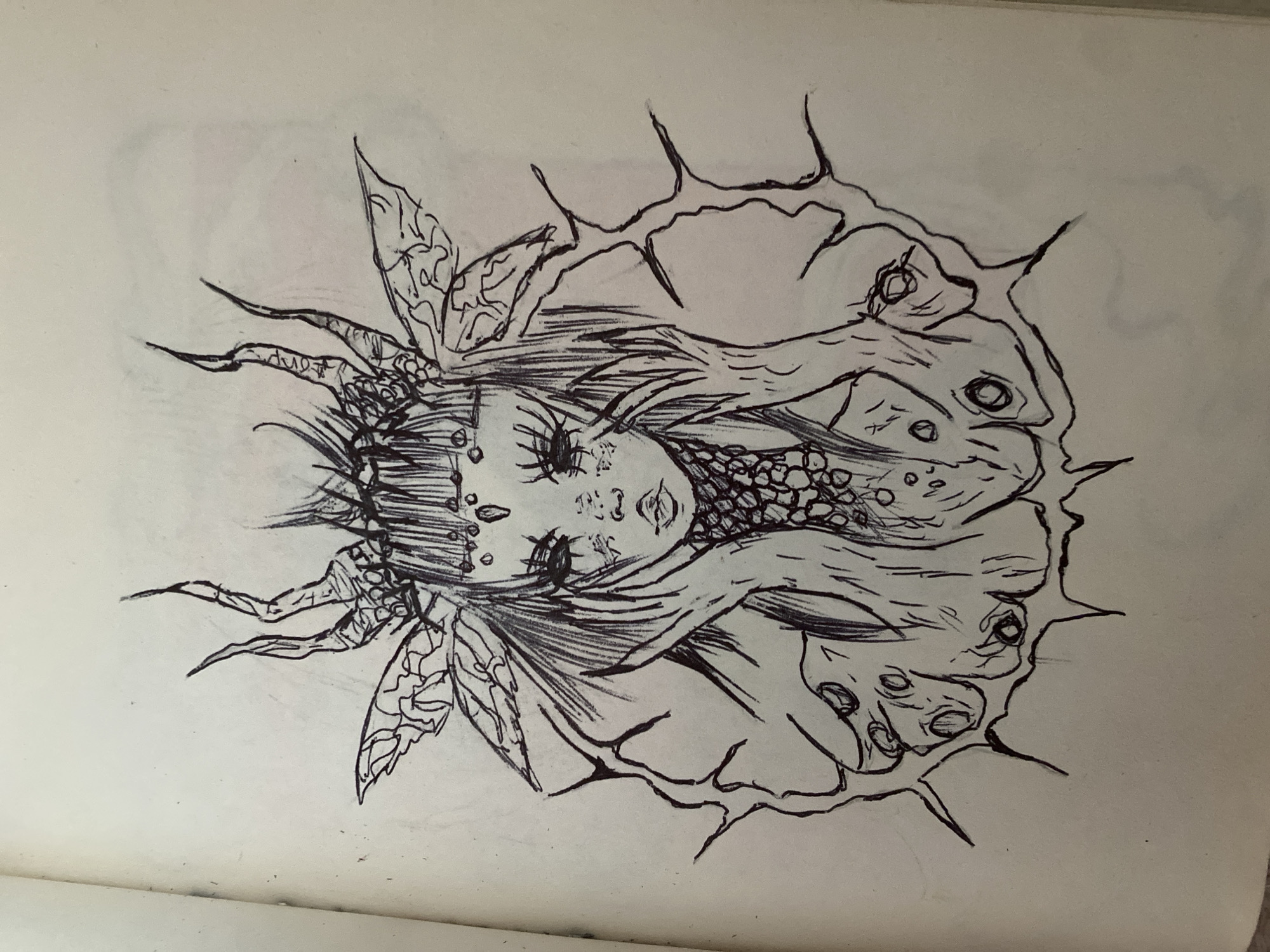 This is a black and white sketch of a creature or entity that appears to be a stylized human face with insect-like or monstrous features, emerging from or encased within a thorny, organic structure. The face has large, detailed eyes with prominent eyelashes, a small mouth, and textured skin with small circular markings. Hair or tendrils flow from the head, and there are wing-like structures on either side of the face, also with intricate patterns. The surrounding thorny element is irregular in shape, with sharp points and bulbous, circular openings or pustules. The style is reminiscent of dark fantasy or horror art. The sketch is on a page that appears to be from a notebook or sketchbook, with visible lines of the page. There is no discernible text within the image itself. The location context provided is Zhmerynka, Ukraine, but there are no visual cues within the sketch to confirm this location.