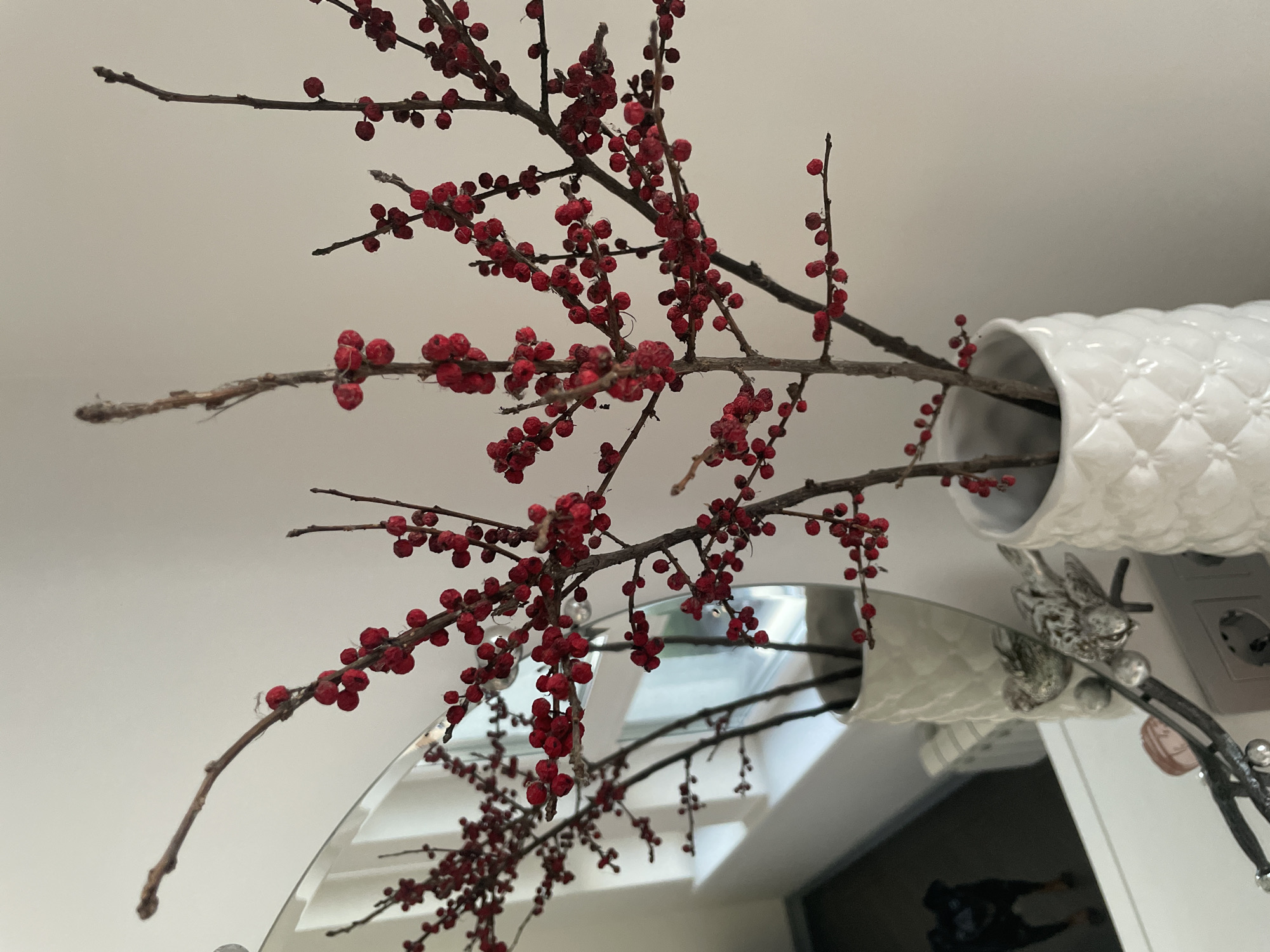 The image shows a still life arrangement of branches with red berries in white vases. The branches are bare except for clusters of small, round red berries. The vases are tall and ribbed with a textured surface. The arrangement is placed on a white surface, possibly a table or shelf, in front of a light-colored wall. A large mirror is visible behind the vases, reflecting the branches and a white window or wall with a radiator. In the reflection, a small black dog with brown markings is visible on the floor. A wall socket is visible on the right side of the image. The overall scene appears to be indoors, in a domestic setting.