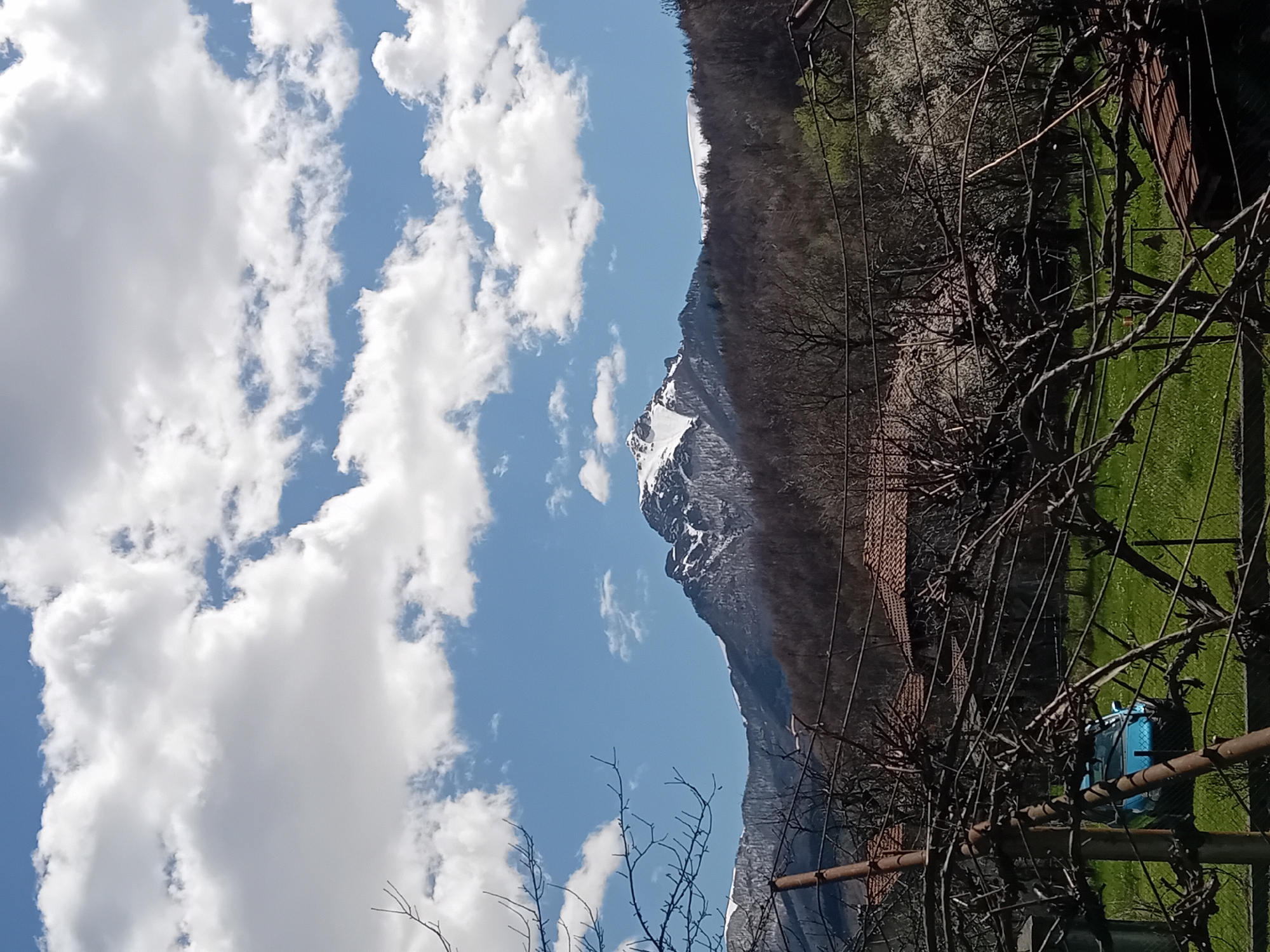 The image depicts a landscape with a mountain range partially covered in snow under a blue sky with scattered white clouds. The lower portion of the image is dominated by a dense foreground of bare tree branches and metal structures, possibly part of a fence or trellis system. There is also some greenery visible in patches. A blue object, possibly a tarp or container, is visible near the bottom right of the frame, partially obscured by the branches. The location is Unknown, Unknown.