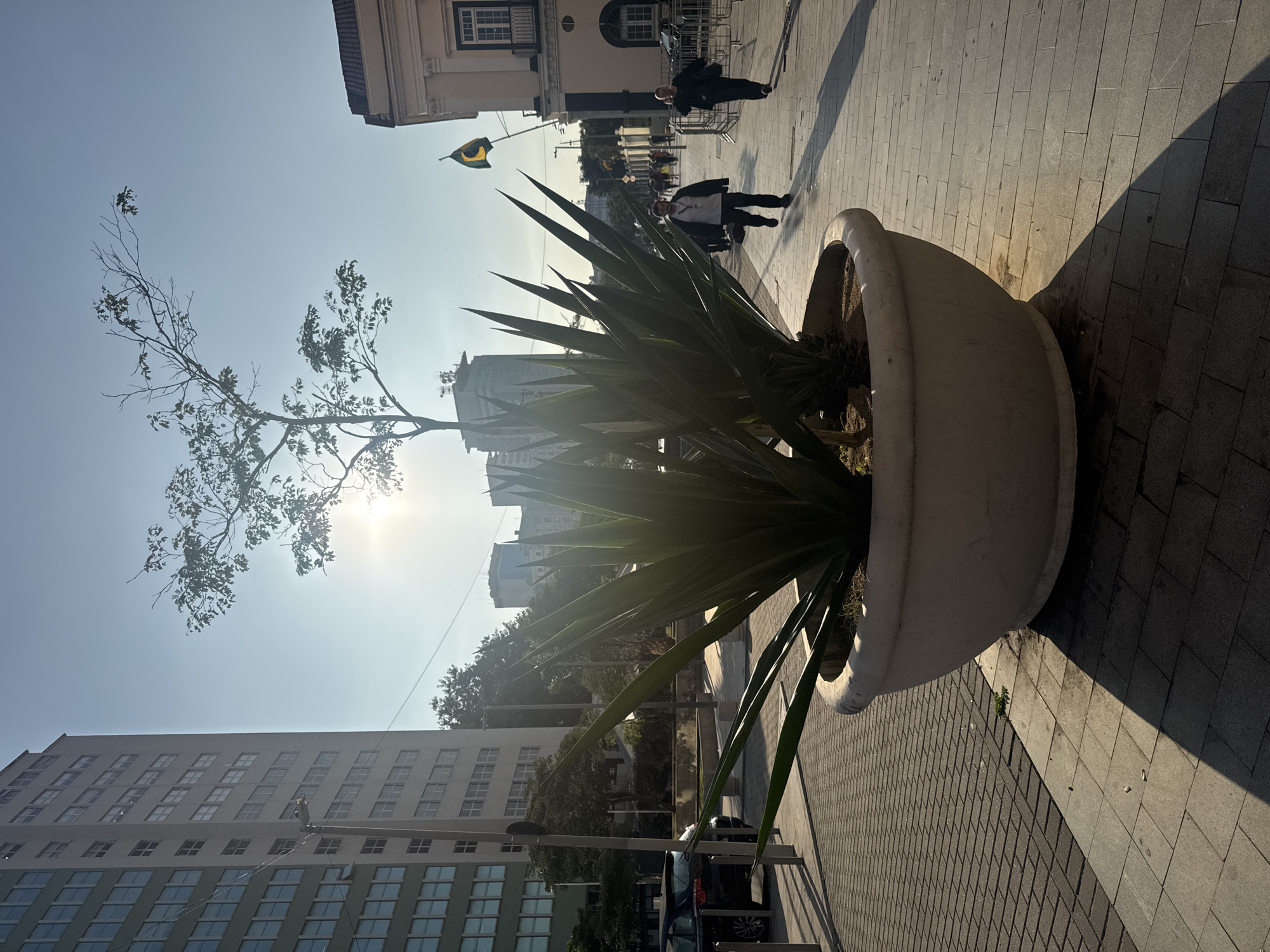 The image shows an outdoor scene on a sunny day, likely in Rio de Janeiro, Brazil. The orientation of the image is such that the ground appears on the right and the sky on the left.
In the foreground, a large, white planter holds a spiky green plant and a bare tree branch extending upwards. The planter casts a long shadow across the paved walkway. The walkway is made of grey rectangular tiles, with some areas showing wear or discoloration.
Further back, several people are walking on the sidewalk. One person is in the middle ground, walking away from the camera. Another figure, further in the background, is walking towards the camera. The people are casually dressed.
Behind the people and walkway, there is a building with a classical facade and a tiled roof. A Brazilian flag is visible, attached to a flagpole. Beyond this building, a modern, tall office building with many windows is visible. In the distance, other city buildings can be seen.
The sun is bright and high in the sky, creating strong shadows and a sense of a clear day. The overall mood is calm and ordinary, depicting a typical urban scene. There is no visible text in the image.