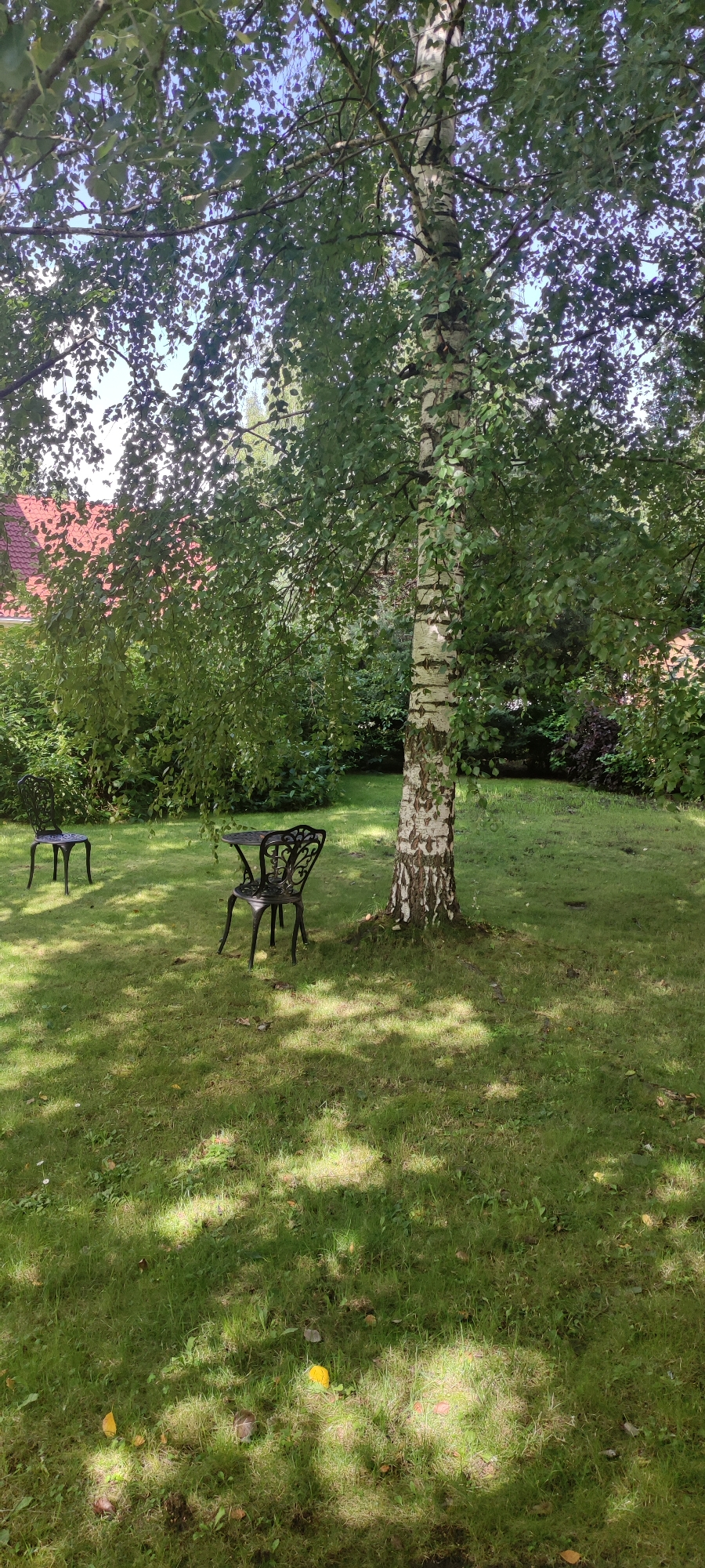 The image depicts a serene outdoor scene in Rosinka, Russia, featuring a manicured lawn with dappled sunlight filtering through the leaves of a prominent birch tree. The focal point is a black wrought-iron table and two matching chairs placed on the grass, suggesting a potential seating area. In the background, a red-tiled roof of a building is visible, peeking out from behind lush green foliage. The overall ambiance is tranquil and natural, with no human presence observed in the frame.