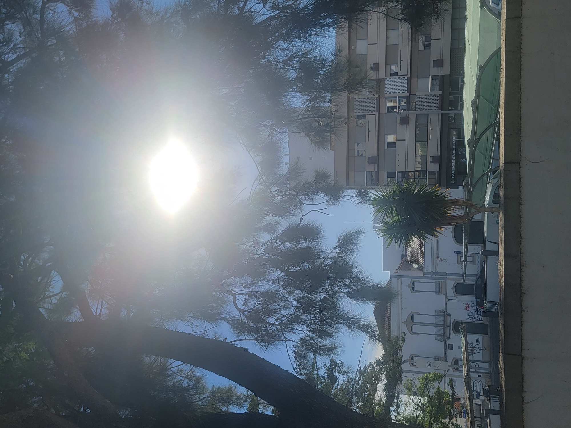 This is a photograph taken outdoors in Faro, Portugal, with the sun creating a strong lens flare. The image captures a street scene characterized by a mix of architectural styles and natural elements. In the foreground, a thick tree trunk is visible on the left, with its branches and needles obscuring parts of the sky and buildings behind. The sky is a clear blue.
Dominating the middle ground and background are several buildings. On the left, a white, two-story building with a red-tiled roof features ornate balconies and arched windows, some of which appear to be boarded up. Graffiti is visible on the lower facade of this building and on a fence in front of it. Adjacent to this building is a modern, multi-story apartment complex constructed with concrete and glass, featuring numerous balconies and windows. A sign with the text "FARENSE SNACK-BAR" is visible on the ground floor of this complex. In front of these buildings, a green awning covers a parking area where cars are parked. A palm tree is situated to the right of the white building. The overall impression is a snapshot of a street in an urban environment, likely in a southern European city, given the architecture and lighting conditions.