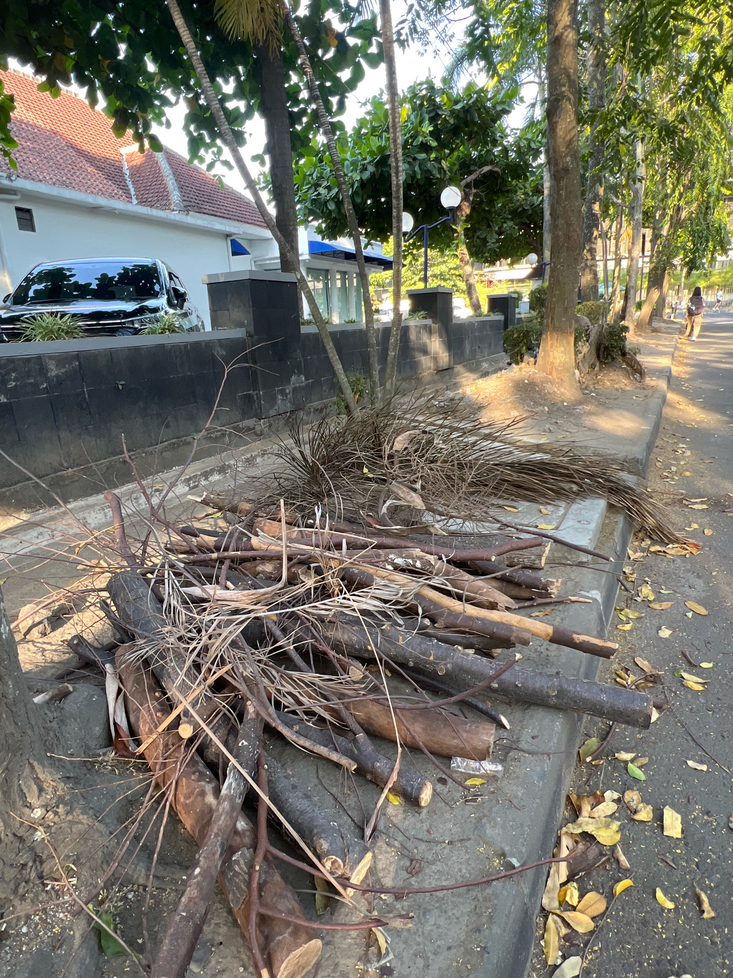 A pile of fallen tree branches and fronds lies on the concrete sidewalk next to a street in Depok, Indonesia. The branches are varied in thickness and length, with some being quite substantial logs. Dry leaves are scattered on the sidewalk and street, some of which have blown into the pile of branches. In the background, a dark-colored car is parked in front of a white building with a terracotta-tiled roof. Trees line the sidewalk, casting shadows on the ground. Further down the street, a person is walking away from the camera, carrying a bag. The scene appears to be a residential or commercial area with well-maintained sidewalks and street lighting.