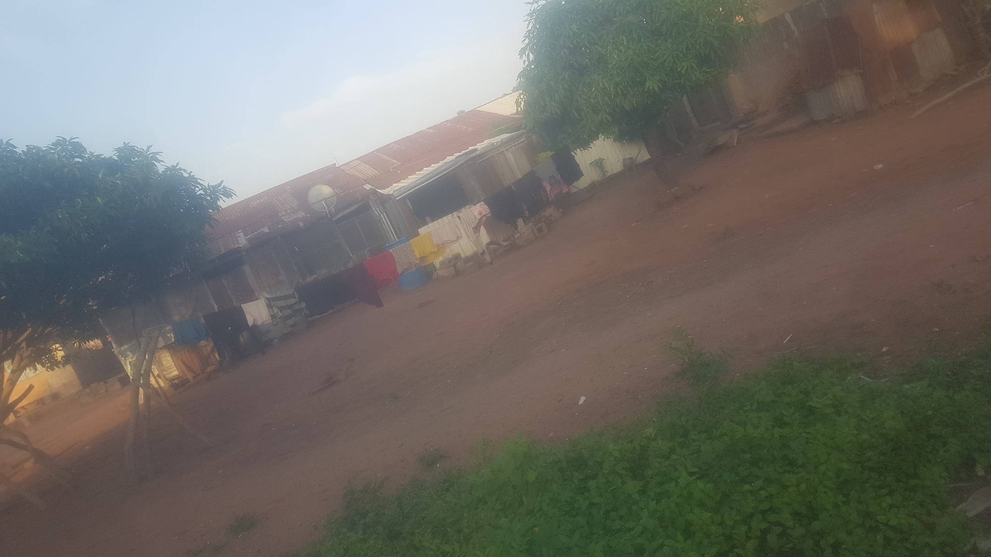The image shows a scene in Wukari, Nigeria, likely in a rural or semi-rural area. The setting is a dirt yard with some green vegetation in the foreground and to the right. In the background, there are several buildings with corrugated metal roofs, some appearing older and weathered. One building has a satellite dish. Clothes are hanging on a line between some of the structures, suggesting laundry is being done or has recently been done. There are also some large colorful buckets visible. Two trees with green foliage are prominent in the image, one on the left and one on the right, providing shade. The ground is a reddish-brown dirt. The sky is light, suggesting it could be morning or late afternoon, and the weather appears to be clear. There are no people clearly visible in the image. The overall impression is of a domestic scene in a warm climate.