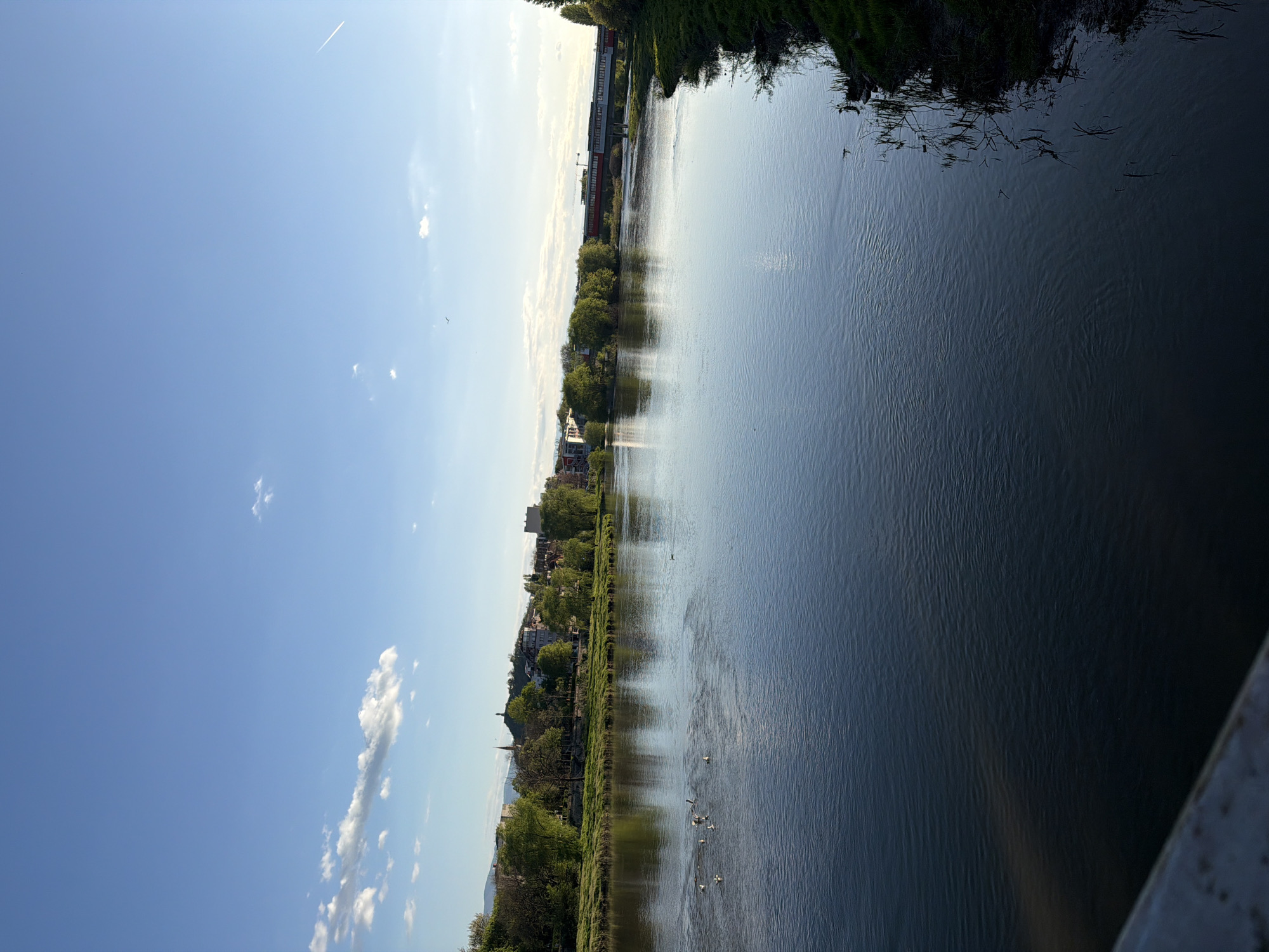 This media file captures a serene panoramic view of the Maritsa River in Plovdiv, Bulgaria, under a clear blue sky. The image presents a wide river flowing horizontally across the lower half of the frame, its calm surface brightly reflecting the sky and surrounding landscape.
The left bank of the river is adorned with lush, dense green trees and vegetation that line the water's edge. On the opposite, right bank, a similar expanse of green trees and grass transitions into the distant cityscape of Plovdiv. Various buildings are visible, including what appear to be residential or commercial structures, and a distinct church spire rising above the rooftops. Further along the right bank, more distant structures, possibly industrial, are partially obscured by the bright sunlight.
The upper half of the image is dominated by a bright, expansive blue sky dotted with scattered, wispy white clouds. A faint airplane contrail is visible streaking across the upper left portion of the sky. The time of day appears to be late morning or early afternoon, characterized by clear, bright sunlight creating prominent reflections on the river's gently rippled surface.
In the foreground, several white birds, likely geese or ducks, are seen peacefully floating on the river, clustered near the left bank. A small, textured portion of what appears to be a bridge railing is visible in the extreme bottom right corner, indicating the photograph was taken from an elevated vantage point.
The overall atmosphere is tranquil and picturesque, showcasing the natural beauty of an urban river landscape on a clear, sunny day. There is no visible text within the image.