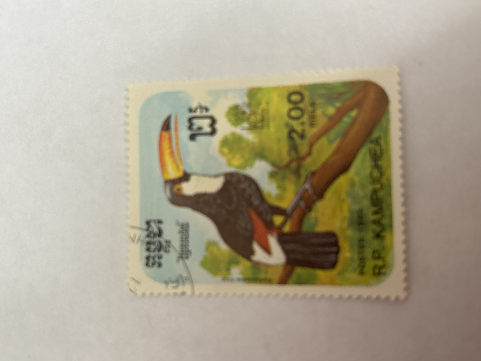 The image displays a single, light-colored postage stamp with serrated edges, resting on an indistinct white background, located in the city of Chaikovsky, Russia. The stamp features an illustration of a toucan, characterized by a dark brown body, a white chest, and distinct red feathers at the base of its tail, perched on a brown tree branch. Its prominent beak is multicolored, displaying shades of yellow, orange, and black. The background within the stamp shows a light blue sky above green foliage. Text printed on the stamp includes "2.00 RIELS", "POSTES 1986", and "R.P. KAMPUCHEA" in English, alongside script in Khmer characters positioned at the top left and top right. A faint, dark marking or postmark is visible on the upper left portion of the stamp.