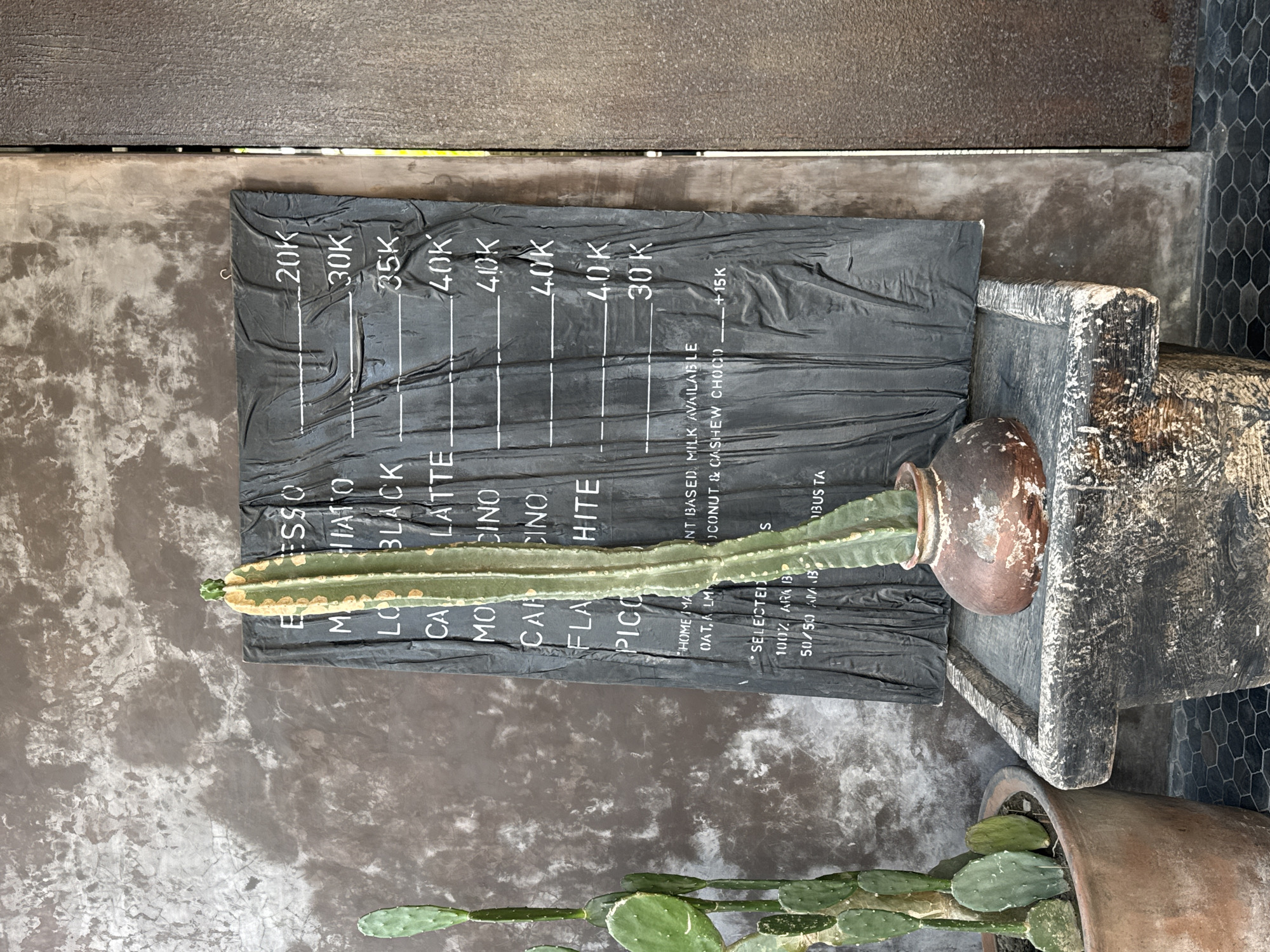 This image depicts an outdoor scene in the city of Mengwi, Indonesia. A tall, slender cactus, planted in a rustic brown pot, stands in front of a black menu board. The menu board displays a list of coffee drinks and their prices in white lettering, with items such as "ESPRESSO," "MACCHIATO," "BLACK," "LATTE," "CAPPUCINO," "FLAT WHITE," and "PICCOLO" visible. Beneath the drink names, there are notes about milk options and coffee bean selections. To the left of the menu board, another cactus, this one a prickly pear variety, is visible in a larger terracotta pot. The background consists of a textured, weathered concrete wall and a dark, corrugated metal door on the right side of the frame. The ground is paved with small black hexagonal tiles. The scene is illuminated by natural light, casting soft shadows. There are no people present in the image.