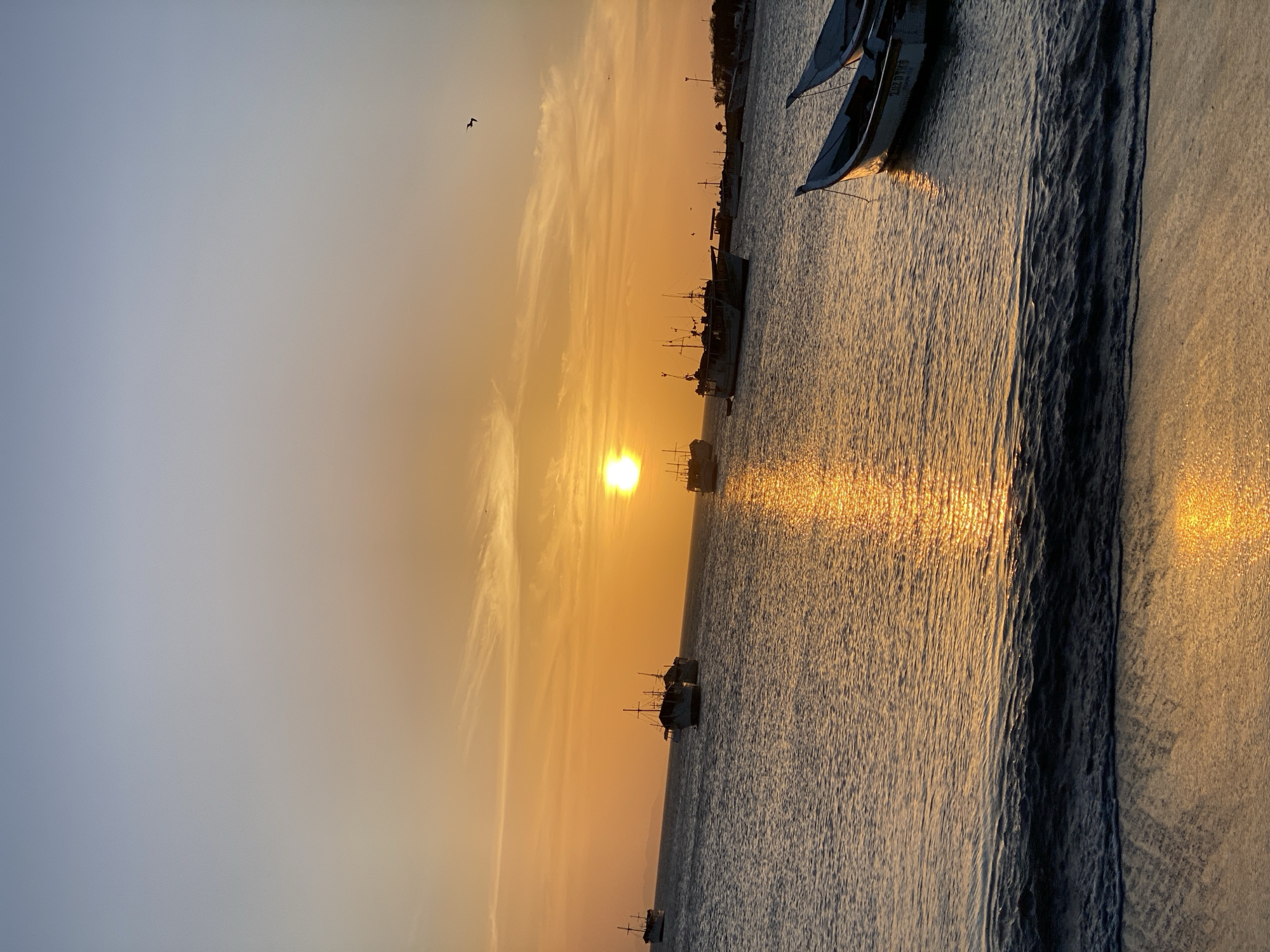 The image shows a sunset scene in Juan Griego, Venezuela. The sun is low in the sky, casting a golden reflection on the water. There are several boats anchored in the harbor. A bird is flying in the sky.