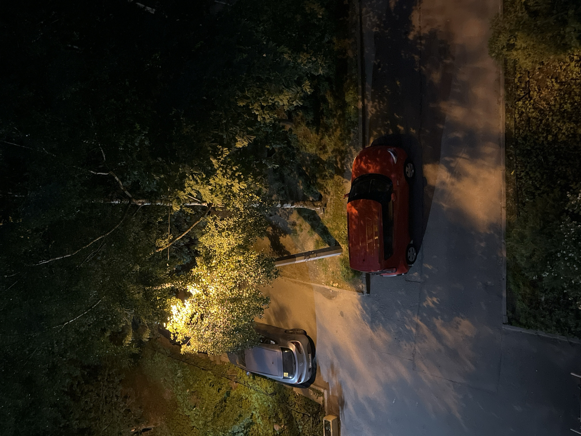The image depicts an aerial view of a street scene at night. Two cars are visible: a silver hatchback parked on the left side of the road, partially obscured by trees and illuminated by a nearby streetlamp, and a red compact SUV parked further down the road on the right. The ground is paved, with shadows from trees cast across it due to the streetlamp. Dense foliage and trees surround the street, with a patch of grass and small white flowers visible in the foreground. The scene is set in an urban environment at an unspecified location and time.