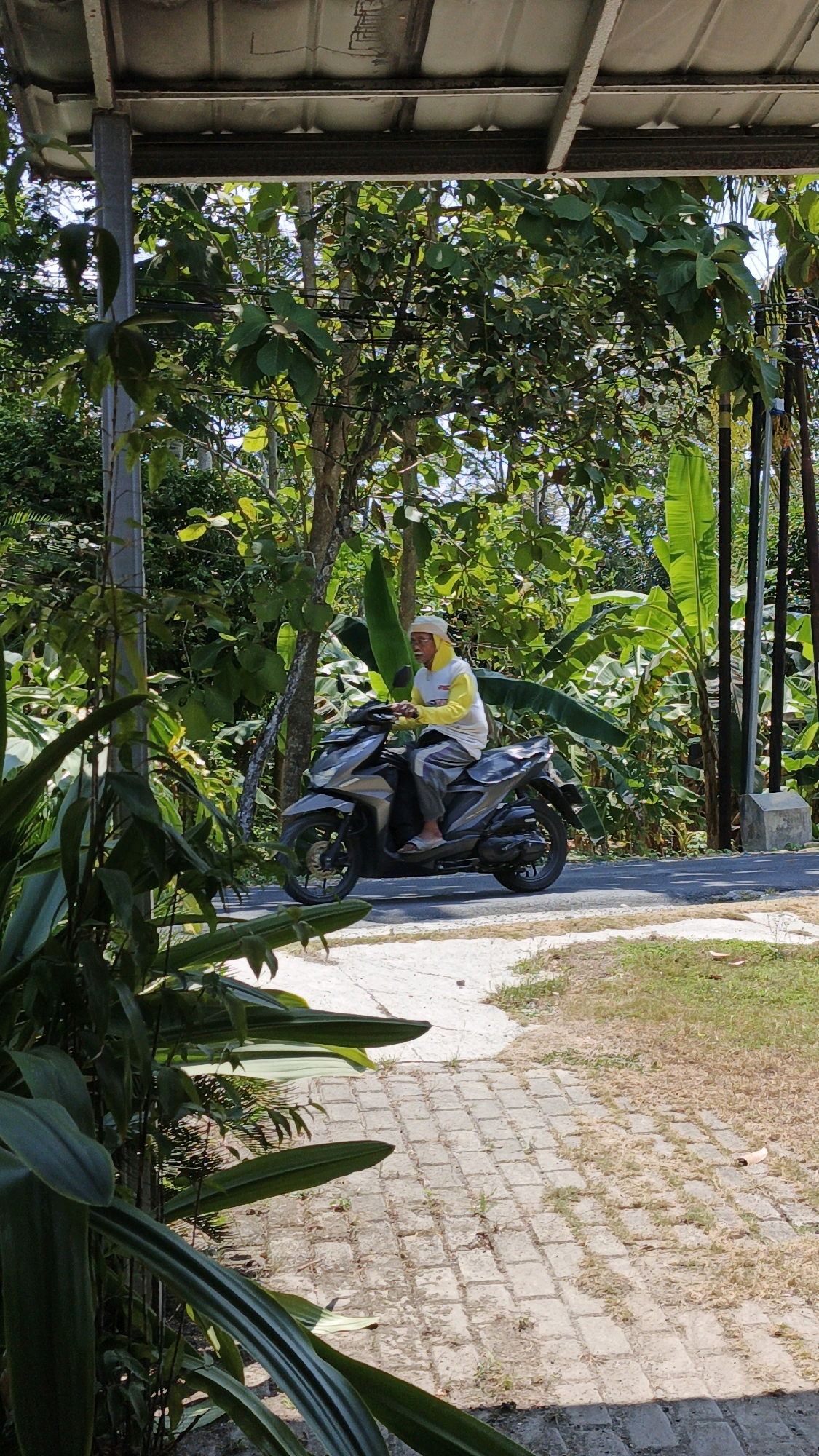 A man wearing a white skullcap and a yellow hooded jacket over a gray shirt and pants is riding a dark gray scooter on a paved road. He is looking forward. The road is bordered by a light-colored concrete path on the right and a dirt path with some grass on the left. Lush green foliage, including banana trees and other tropical plants, surrounds the scene, with a corrugated metal roof structure visible in the upper left corner. The lighting suggests it is daytime with sunlight casting shadows. The location is identified as Cintaratu, Indonesia.