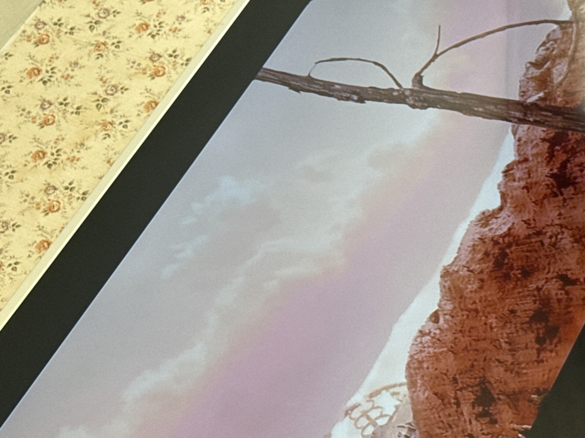The image shows a framed photograph resting on a surface with a floral wallpaper pattern. The photograph depicts a landscape scene with a sky gradient from light gray to a pinkish hue, possibly indicating dawn or dusk. A rugged, rocky formation dominates the right side of the photograph, with a bare tree branch extending across the top of the frame. Details on the wall and frame are not clear enough to confidently determine a location in Pushkino, Russia.