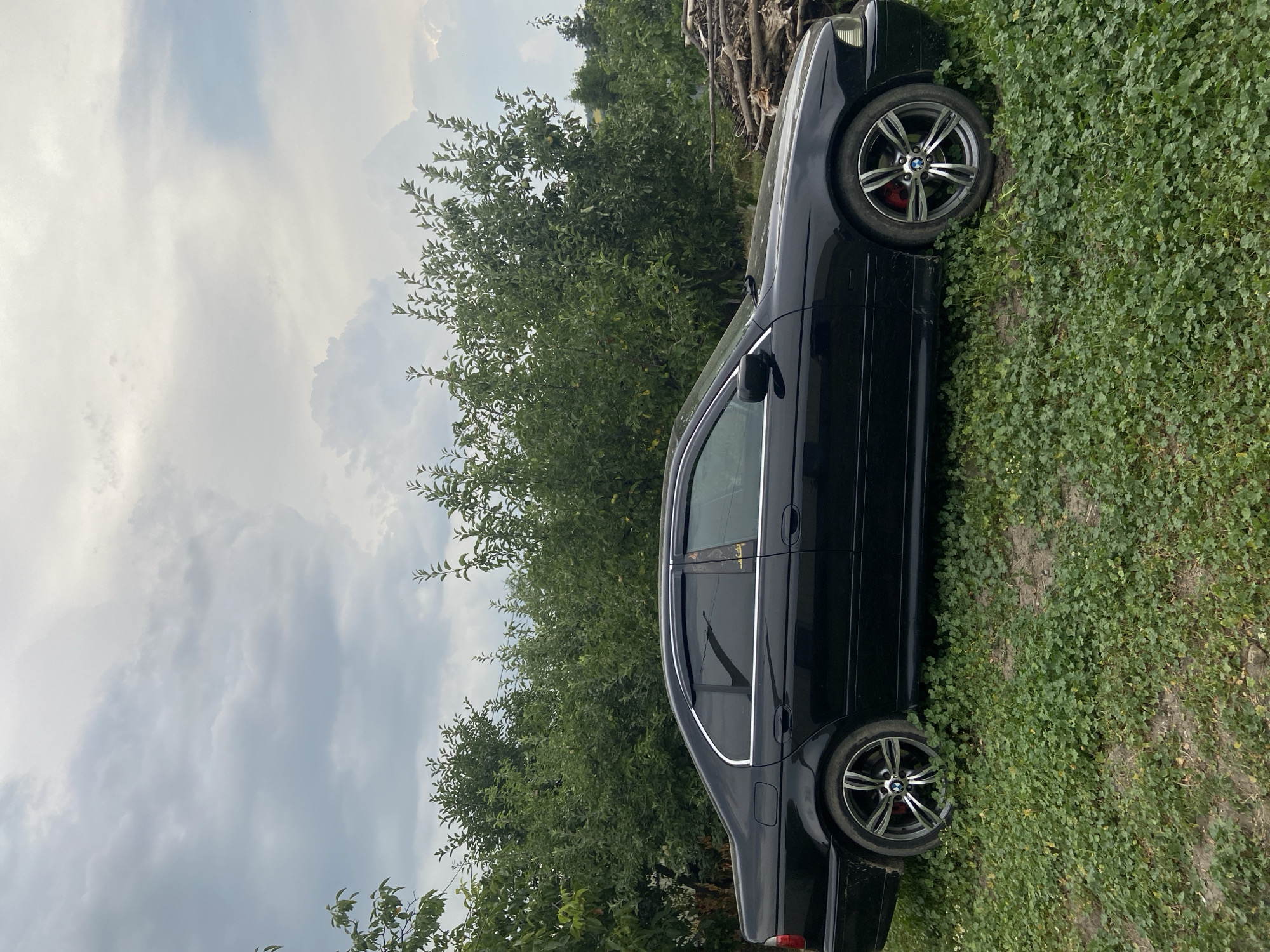 A black BMW sedan is parked on a patch of grass. The car is oriented with its left side facing the viewer, and it is positioned in front of a dense line of green trees. The sky above is overcast with dramatic clouds. To the right of the car, a pile of cut branches and logs is visible. The ground is covered in green clover.