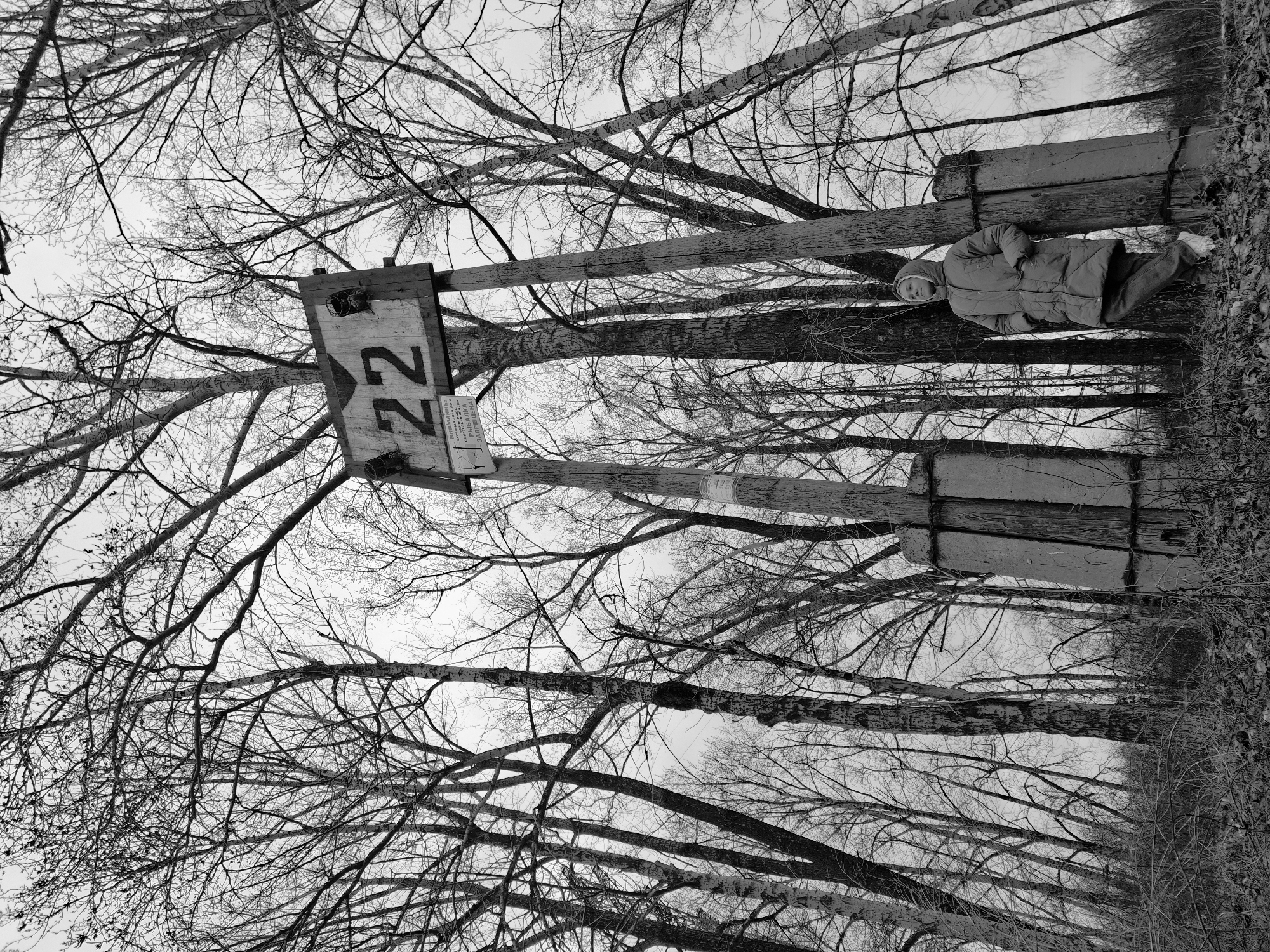 A grayscale, rotated image depicts a wooded area, possibly in a park, with bare trees dominating the composition. Centrally positioned and rising vertically is a wooden structure with the number "22" prominently displayed on a sign, likely indicating a sector or zone. A person wearing a hooded jacket and trousers is leaning against this structure, possibly observing or resting. The overall environment appears to be outdoors during winter or early spring, suggested by the lack of foliage on the trees. The city of Chaikovsky, Russia, is not discernible from the image, and no specific landmarks or identifying features suggest it is the location.