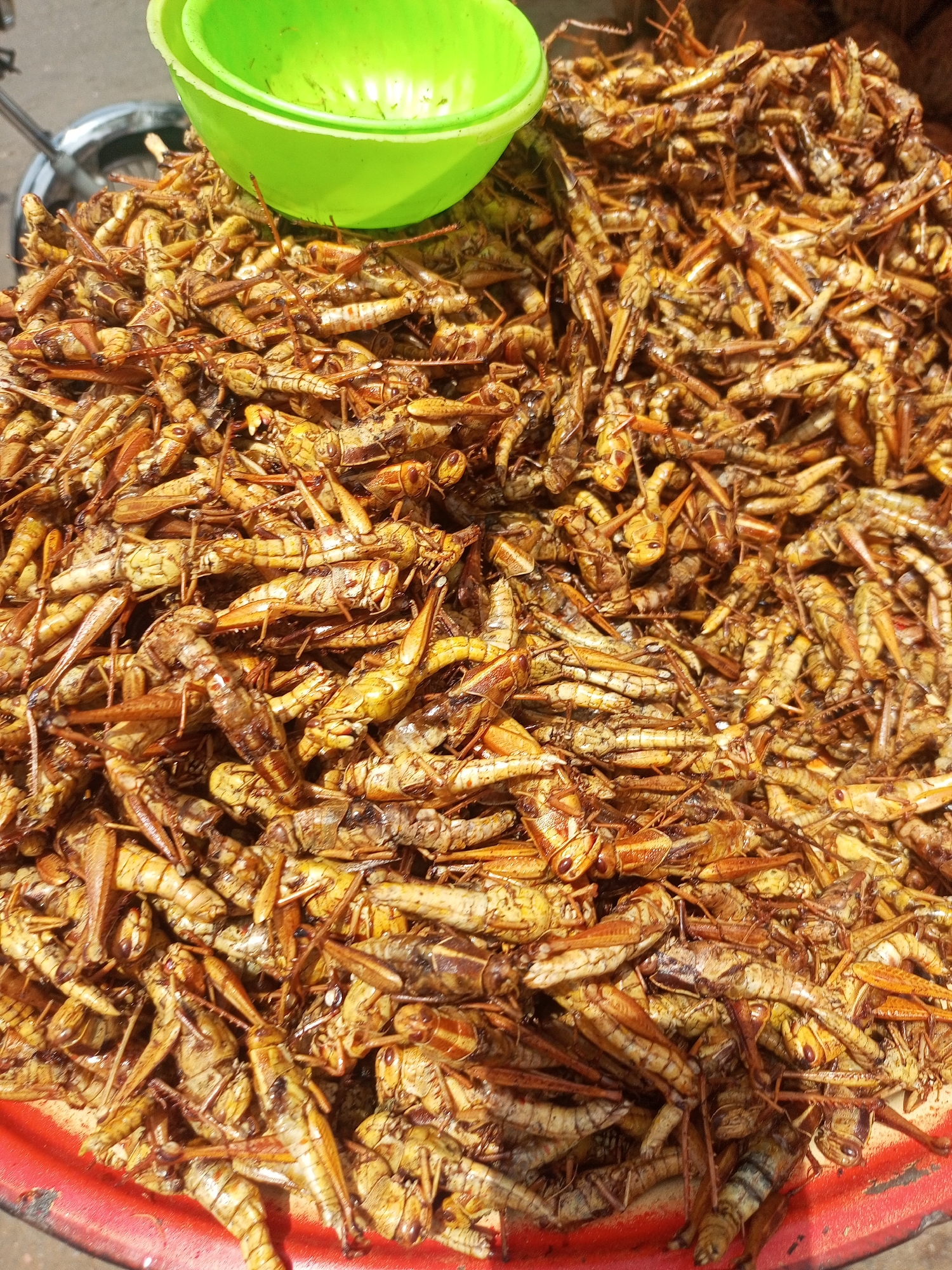 The image shows a large pile of fried grasshoppers, a local delicacy, piled on a red plate. A bright green bowl sits atop the grasshoppers. The scene is most likely a market in Tempure, Nigeria.