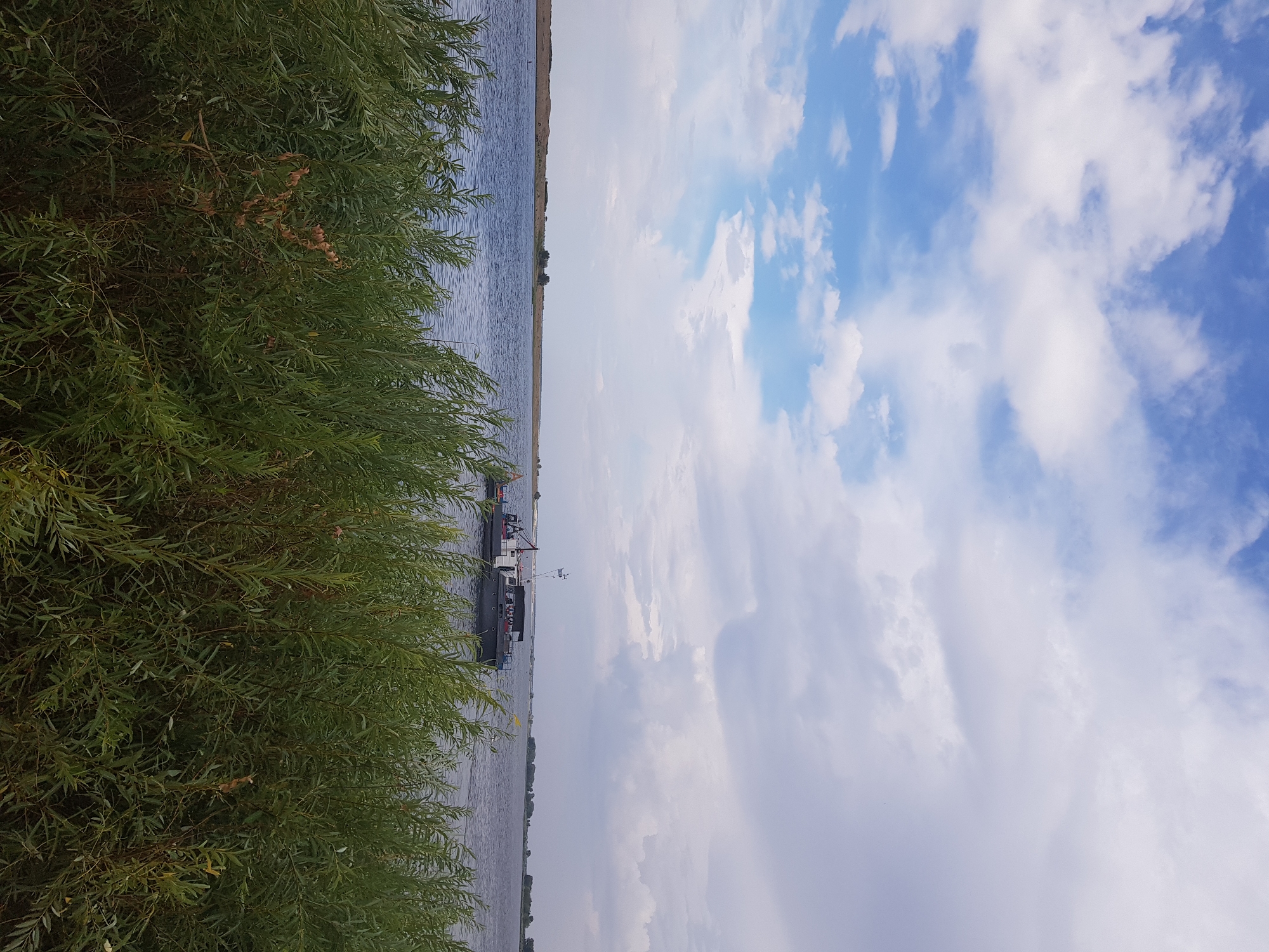 A boat is visible on the Irtysh River, near the city of Kurchatov, Kazakhstan. The boat appears to be a tugboat or a small cargo vessel, gray in color, with a white superstructure and a dark cabin. It has a single mast with a flag. The river is calm and a deep blue color. On the far bank of the river, a thin strip of land is visible with some low vegetation and scattered trees. The sky is partly cloudy with patches of blue sky and white and gray clouds. In the foreground, lush green reeds and other vegetation are growing along the riverbank, partially obscuring the view of the water. The overall scene depicts a natural landscape with a man-made element.