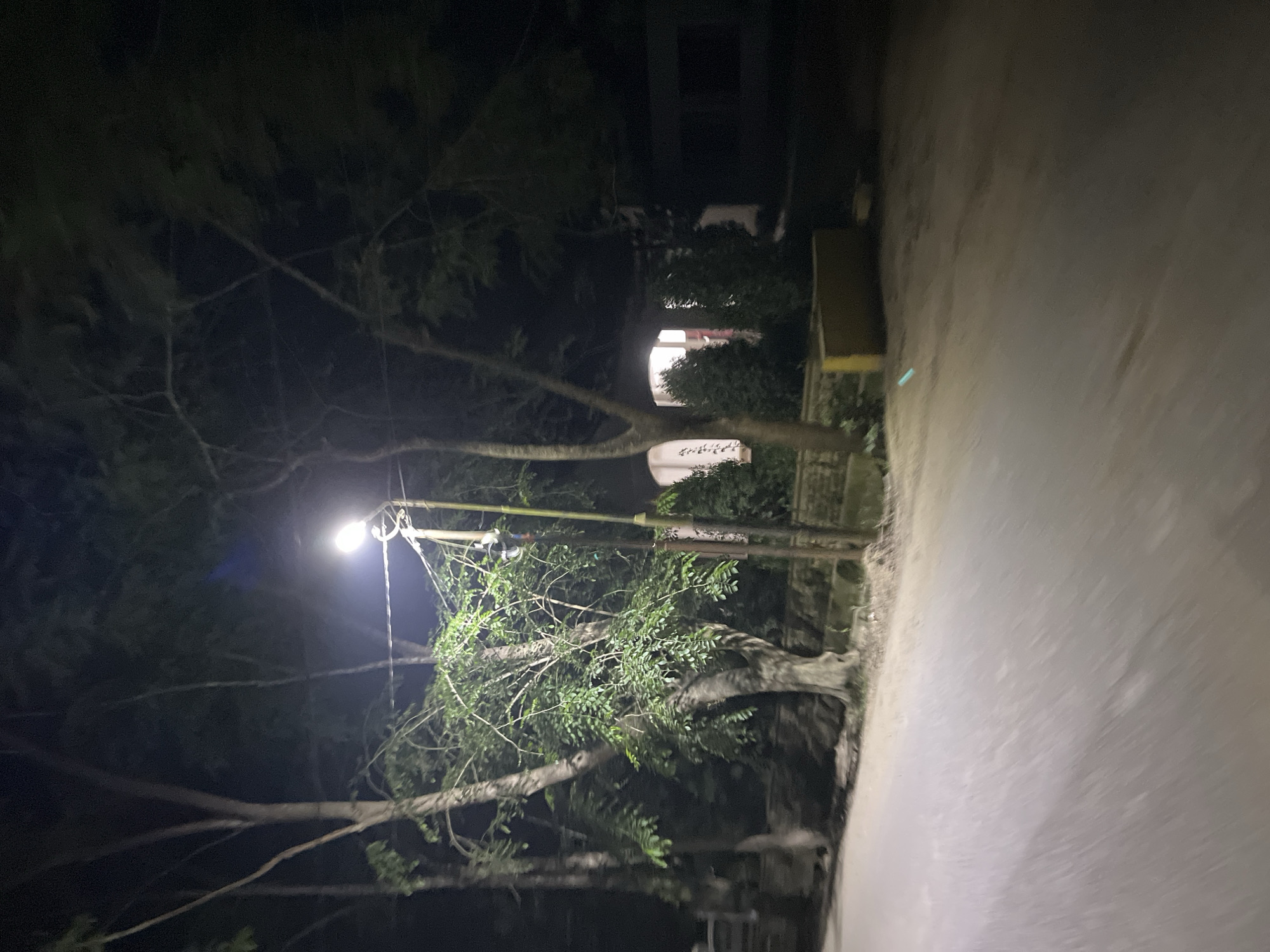 The image depicts a dimly lit outdoor scene at night, likely in Bundar, Indonesia. A street lamp illuminates a portion of a road and the surrounding vegetation. The road appears to be paved and runs to the right of the frame, with a slightly blurry quality suggesting movement or a long exposure. To the left of the road, there are several trees with branches extending into the frame, some of which are bare and others covered in leaves. The street lamp, positioned on a pole, is the main light source, casting a bright glow.
In the background, beyond the trees, a building is partially visible. It has windows that are illuminated from within, suggesting occupancy. A yellow structure, possibly a small building or shelter, is also visible behind some foliage.
The overall atmosphere is dark and quiet, typical of a residential area at night. There are no people visible in the frame. The lighting from the street lamp and the building windows creates a sense of contrast between light and shadow. The location cues like the style of the building and the dense vegetation suggest a tropical or subtropical environment. No visible text is present in the image.