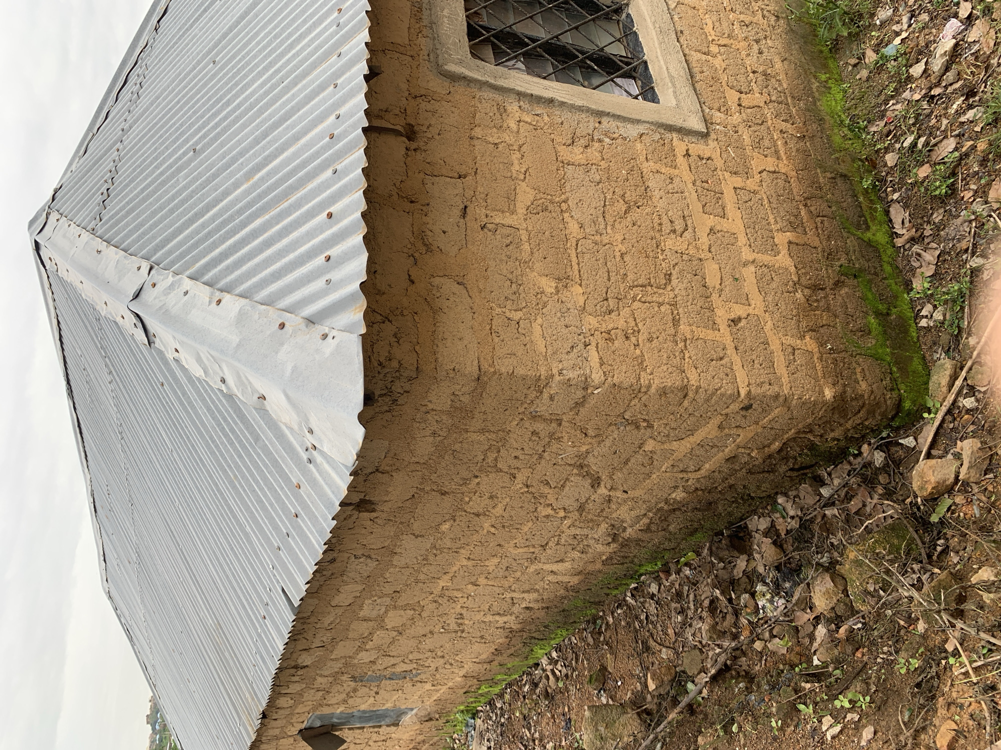An exterior, eye-level, full shot captures a corner of a small, unfinished building. The walls are made of rough, mud-brick construction, with visible indentations where the bricks were laid. The mud appears to be a light brown or tan color. The corrugated metal roof is a dull silver and shows signs of wear, with some rust and unevenly placed nails. A single window with a diamond-patterned metal grate is visible on the right side of the building. The window frame is a lighter color than the walls, possibly concrete. The ground around the building is covered in dirt, scattered dry leaves, small rocks, and patches of bright green moss near the base of the walls. A small, almost unnoticeable, piece of white trash is visible in the dirt on the far left. The sky above is overcast and a pale grey. In the background, a distant, hazy cityscape is visible with a few scattered buildings and trees, suggesting an urban or semi-urban environment. The overall impression is one of a rustic, possibly impoverished, setting.