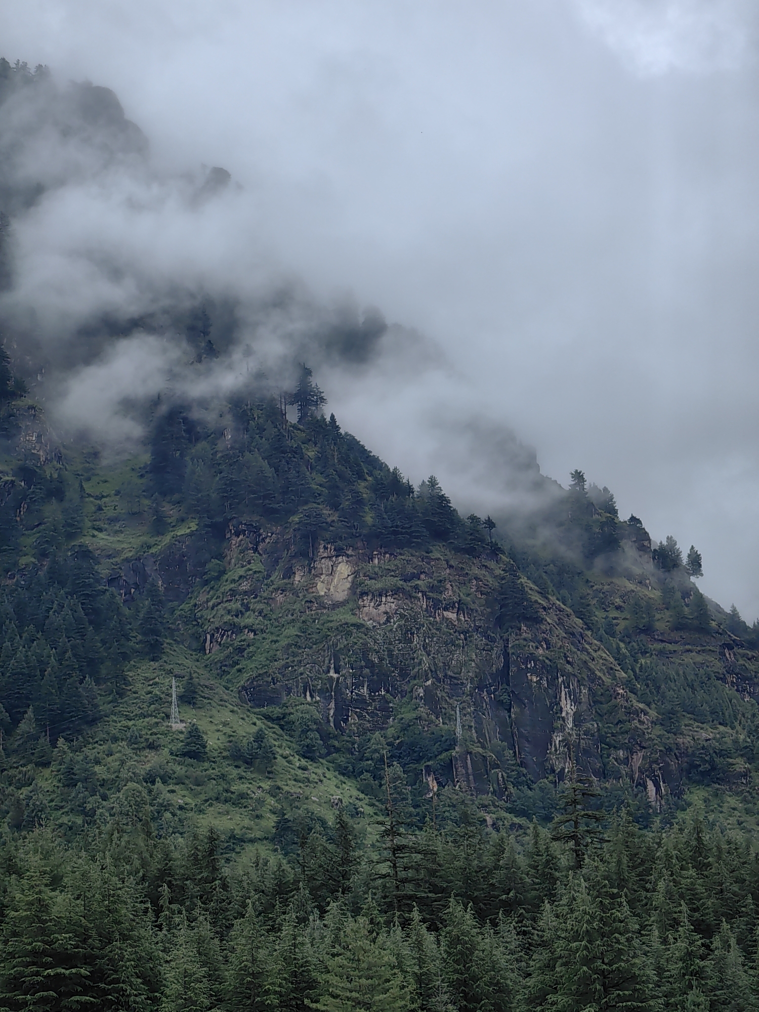 This image captures a misty mountain landscape in Manali, India. The foreground is dominated by a dense forest of coniferous trees, their dark green foliage creating a rich texture. Behind the forest, a steep mountain slope rises, covered in a mix of greenery and rugged rock faces. Wisps of clouds and fog drift across the mountainside, obscuring parts of the peaks and creating a sense of depth and atmosphere. The sky is overcast and a uniform grey, suggesting a cool, damp day. A lone electrical tower is visible on the lower part of the mountain, an indication of human presence in this otherwise natural setting. The overall scene is one of dramatic, untamed natural beauty, characteristic of the Himalayan region.