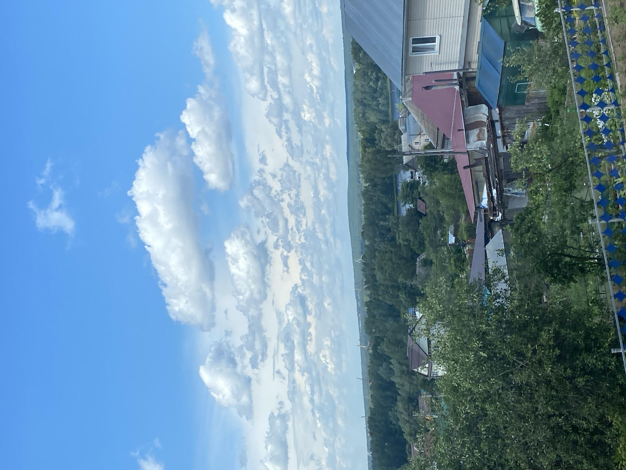 This is an eye-level, vertical, medium shot of a suburban landscape under a bright blue sky filled with fluffy white clouds. In the foreground, a section of a blue and white diamond-patterned fence is visible, with green foliage and trees obscuring much of the lower portion of the scene. Behind the fence and foliage, several residential buildings are clustered together. These include a light-colored house with a gray, sloped roof and white trim around a window, a building with a dark red, sloped roof, and various smaller structures with corrugated metal and wooden siding. A green greenhouse is also present.
In the mid-ground, a dense band of green trees stretches horizontally across the image, interspersed with what appears to be a body of water. Beyond the trees, a hazy, rolling green landscape forms the horizon. Several industrial cranes are visible in the distance, silhouetted against the sky above the treeline. The overall impression is of a village or rural outskirts, possibly on the edge of Chaikovsky, Russia, given the presence of both residential structures and industrial elements. No people are visible in the image. The lighting suggests it is daytime, likely midday, with bright sunlight casting minimal shadows due to the overcast nature of some clouds.