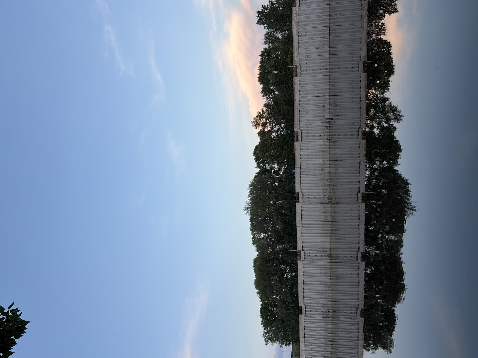 The image depicts a serene waterscape at dusk, featuring a man-made barrier with a reflection in the still water. The barrier, constructed of corrugated metal panels, stretches horizontally across the frame. Above the barrier, a dense line of trees forms a dark green canopy. The sky is a gradient of pale blue, transitioning to soft pink and white clouds on the right side, suggesting the setting sun. A few dark green leaves hang from the upper left corner of the image, indicating foliage overhead. The water below acts as a mirror, reflecting the barrier, the trees, and the sky with remarkable clarity. The scene appears to be a waterfront area, possibly a canal or river embankment, in the city of Chaikovsky, Russia, given the characteristic industrial or infrastructure elements like the metal barrier. No people or discernible actions are visible; the focus is on the static elements of the environment.