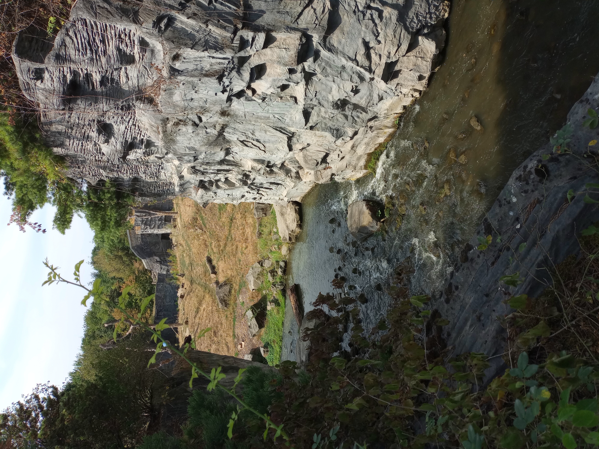 The image shows a narrow, rocky canyon with a shallow, fast-flowing stream running through it. The canyon walls are steep and uneven, with jagged rocks and vegetation growing in the crevices. The stream is filled with rocks and debris, and the water is murky. On the right side of the canyon, a large rock face is visible, with a textured surface that suggests erosion or artificial shaping. On the left, the vegetation is denser, with trees and bushes growing along the bank. In the background, the canyon opens up to a dry, grassy area with some scattered logs and rocks. The sky is visible in the upper part of the image and appears to be clear and blue. There are no people or animals visible in the image. This scene is likely an exhibit at a zoo, designed to mimic a natural rocky environment.