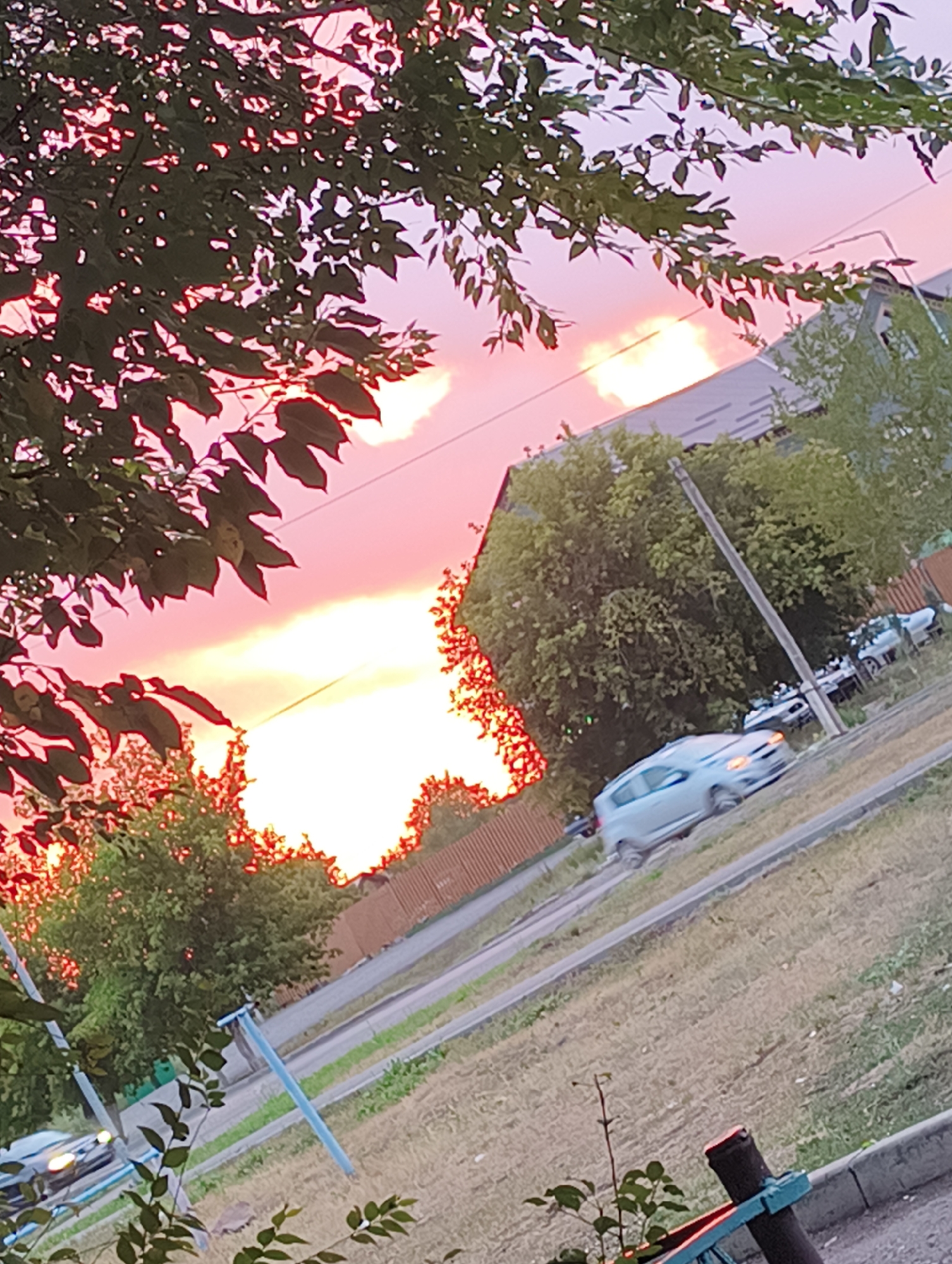 A street scene captures a sunset in an urban environment. The sky is filled with hues of pink and orange, with clouds illuminated by the setting sun. Silhouetted against the vibrant sky are the dark green leaves of trees in the foreground. A road runs diagonally through the frame, with a light-colored car in motion on the right side. A utility pole stands along the road, and buildings and fences can be seen in the background. The ground is covered with dry grass and a concrete curb.