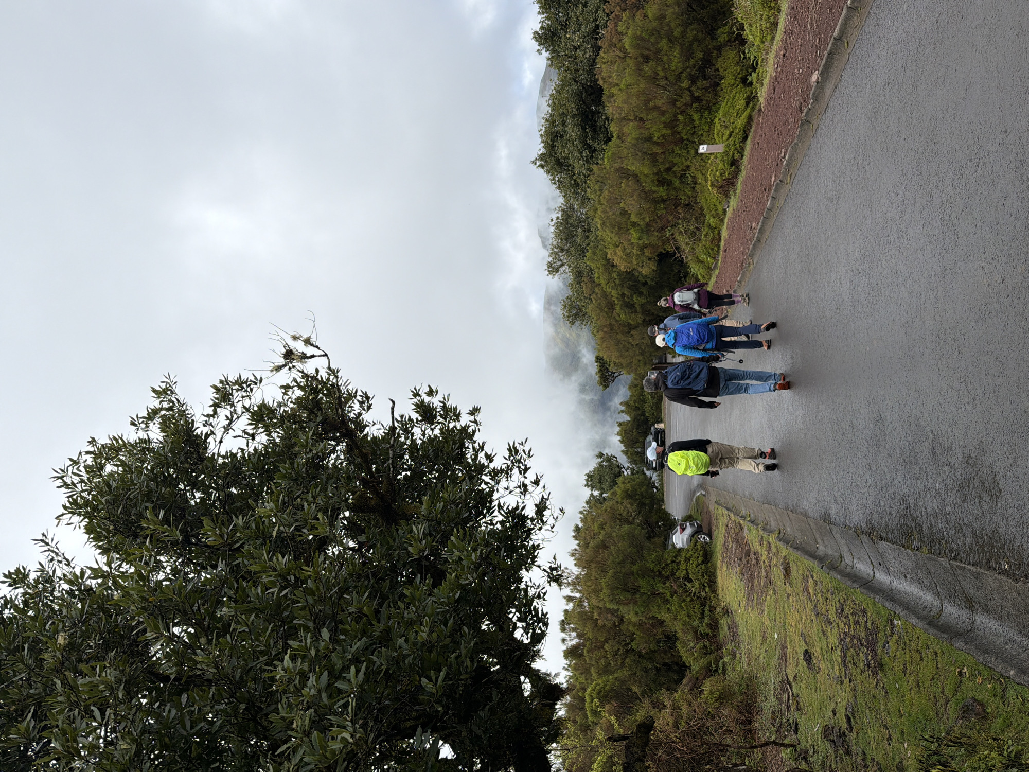 The image depicts a group of people walking on an asphalt road in a mountainous, misty environment. The location is Porto Moniz, Portugal, as indicated by the landscape and vegetation.
**People:**
* A group of people (around 7-8) are walking along the road.
* They are dressed in casual clothing, including jackets, jeans, and backpacks.
* Some are using walking sticks.
**Subjects:**
* The primary subjects are the group of hikers and the surrounding environment.
**Objects:**
* Asphalt road
* Walking sticks
* Backpacks
* Trees and vegetation (shrubs and bushes)
* A curb and a patch of grass with moss and some dead wood.
* A partially visible car parked on the side of the road.
* A wooden trail sign.
**Actions:**
* The people are walking.
**Interactions:**
* The people are walking as a group, seemingly hiking or trekking.
**Environment:**
* The environment is mountainous with low-lying clouds or mist.
* Vegetation is dense, with trees and shrubs lining the road.
* The weather appears to be overcast and damp, with a wet road surface.
