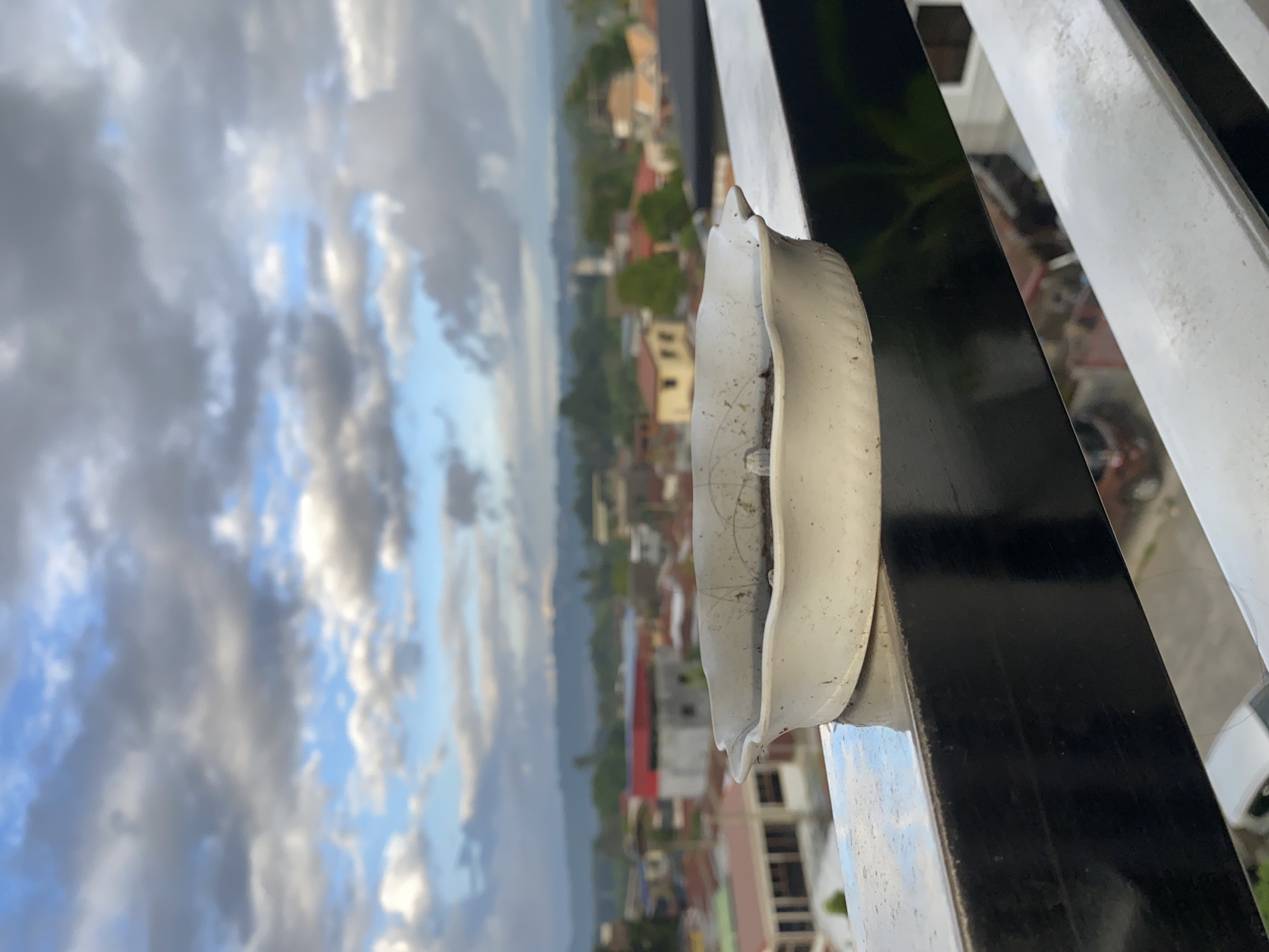 A white ashtray sits on a railing with a city view in the background. The ashtray appears to contain some dirt and debris. The city scene is populated with various buildings, some with red roofs, and lush green trees. In the distance, mountains are visible under a cloudy sky. The overall impression is that of an urban landscape, possibly in Davao City, Philippines, given the architectural styles and tropical vegetation.