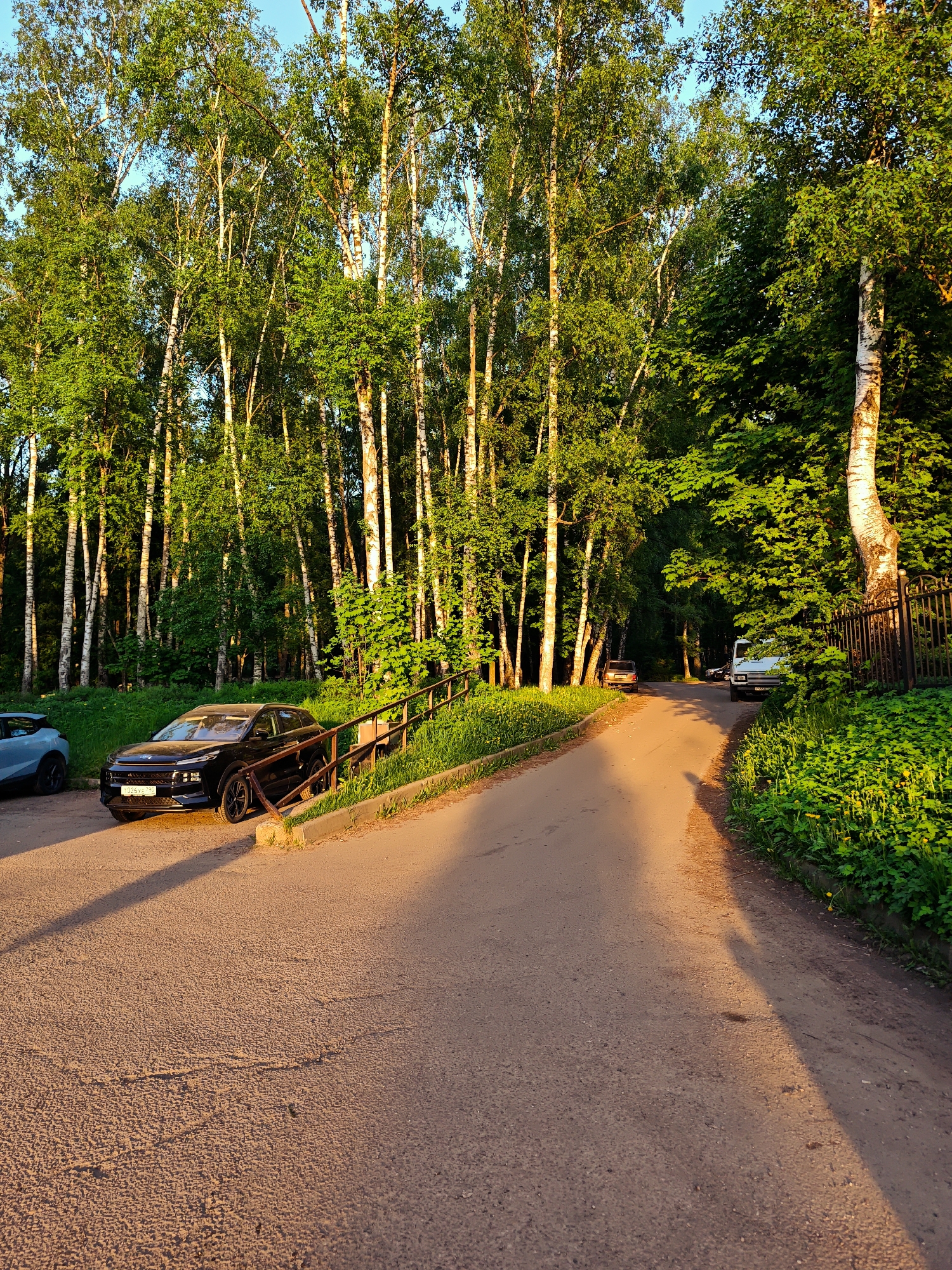 The scene depicts a paved road winding through a wooded area, presumably within the city of Dmitrov, Russia, based on the license plate visible on one of the vehicles. On the left side of the road, a blue car and a black vehicle are parked. A wooden bridge and vegetation line the edge of the road near the parked cars. Further down the road, two more vehicles, a brown car and a white van, are parked. The background is dominated by tall birch trees with green foliage, bathed in warm sunlight, suggesting late afternoon or early evening. The light casts long shadows across the road. A metal fence is visible on the right, separating the road from the dense undergrowth.