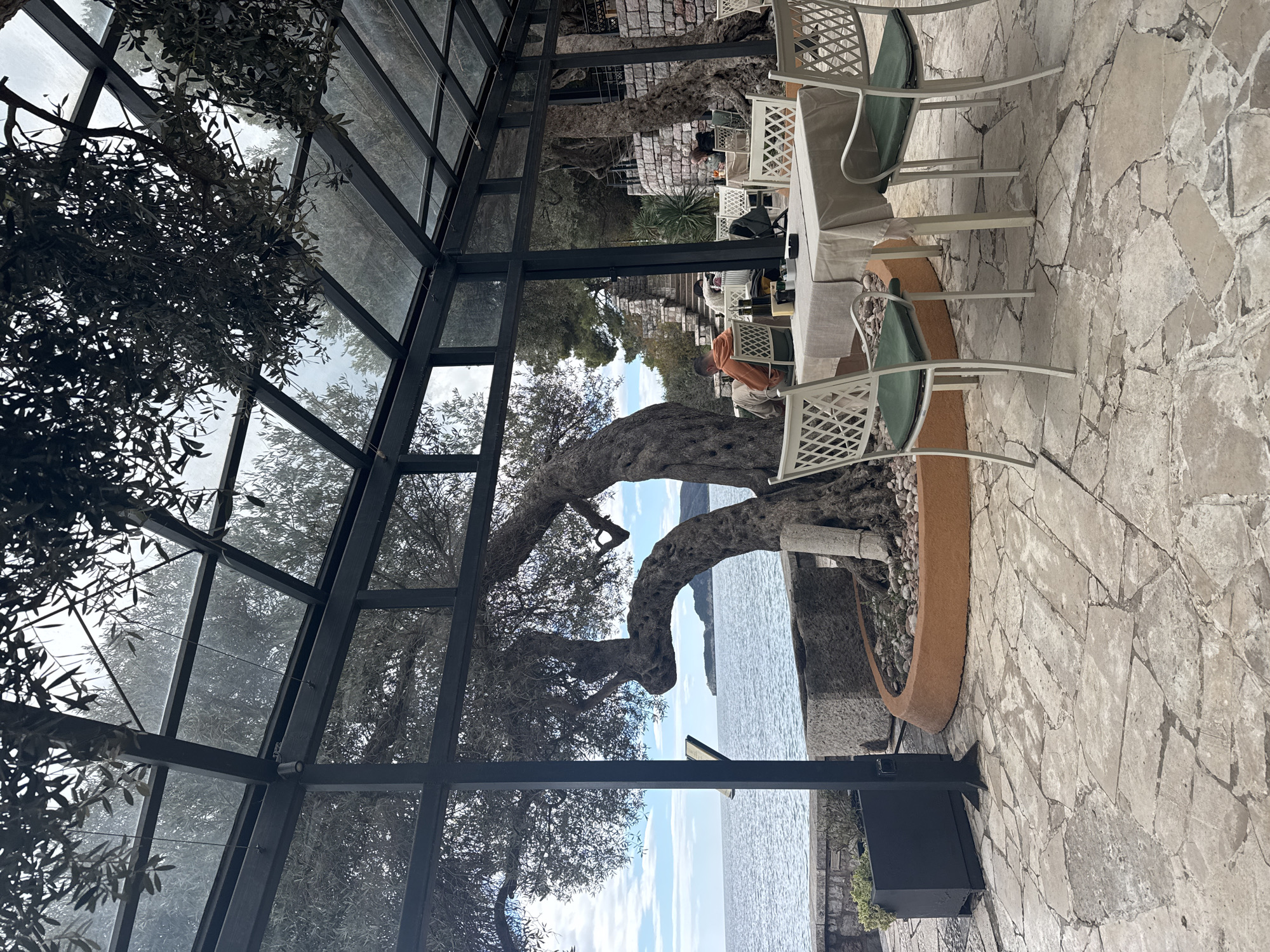 The image captures a restaurant setting in Sveti Stefan, Montenegro. The restaurant features a glass and metal framework, providing an enclosed space. An old, gnarled olive tree grows through an opening in the structure, its branches extending towards the sea. The restaurant has tables set for dining, complete with chairs. Patrons are seated at some of the tables. The restaurant floor is made of stone. The Adriatic Sea stretches out in the background.