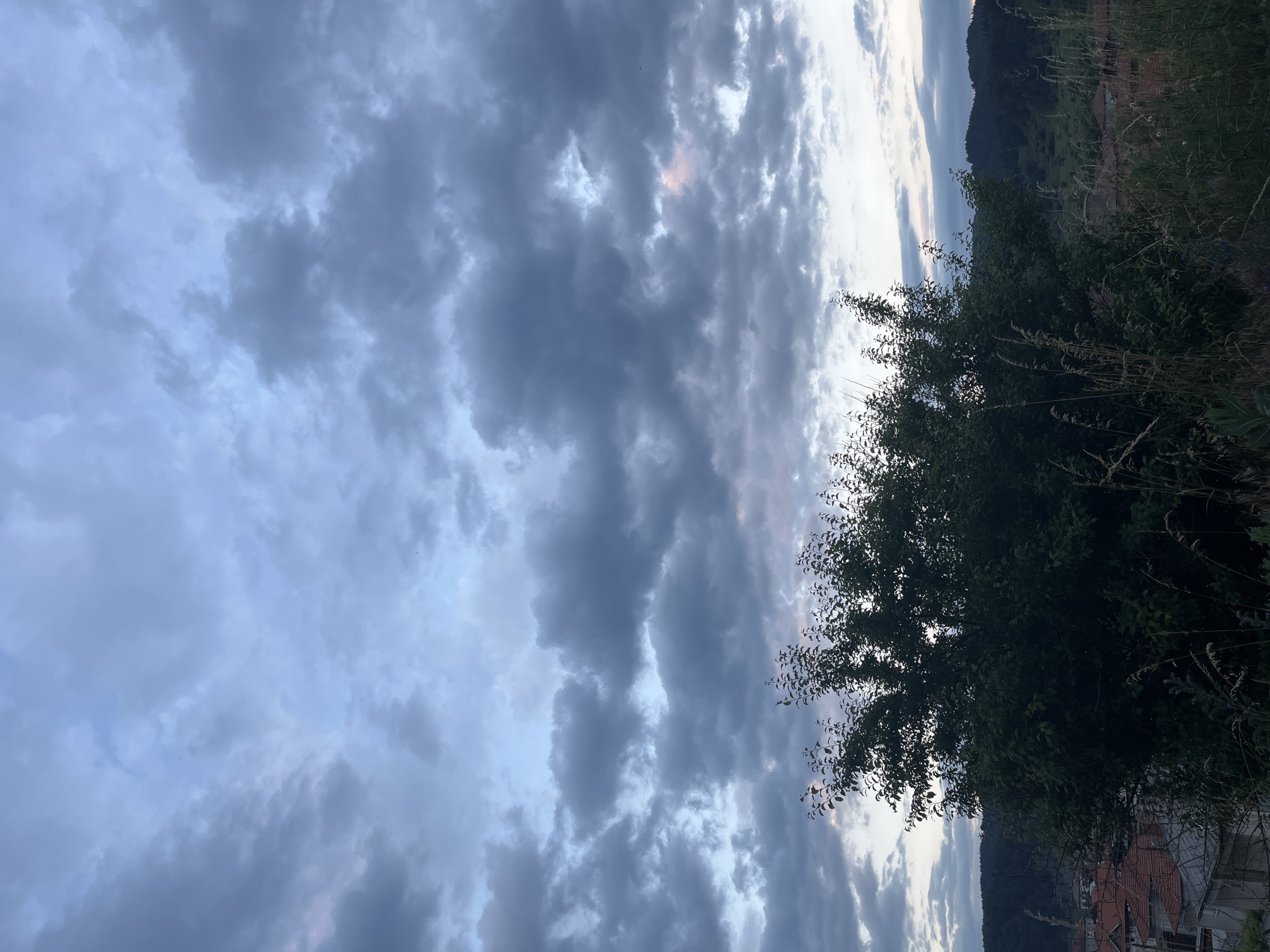 This is a photograph taken from a slightly elevated position in the city of Barutin, Bulgaria. The scene is dominated by a cloudy sky, with varying shades of gray and hints of pale blue and pink, suggesting either dawn or dusk. In the foreground, a large, dense bush or tree with dark green foliage is the primary subject, obscuring parts of the landscape. Behind the foliage, rooftops of houses with orange tiles are visible, indicating a residential area. Further in the background, rolling hills covered in dark green trees form a backdrop under the cloudy sky. The overall impression is a tranquil, somewhat overcast natural landscape with a village settlement integrated into it. There are no people visible in the image.