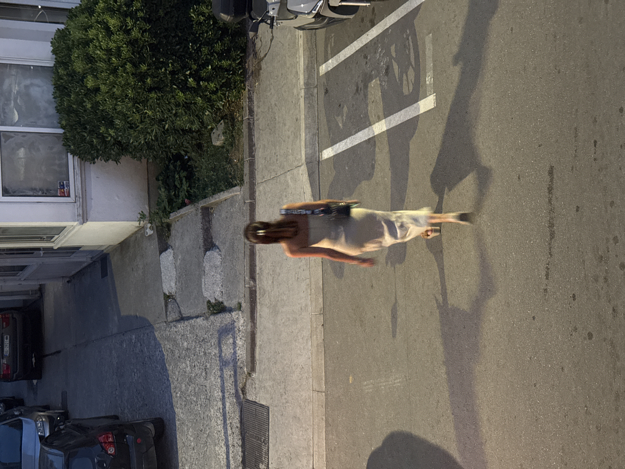 A full-shot, medium-high angle image shows a woman from behind walking on a paved street in Budva, Montenegro. She is wearing a light-colored, strapless, floor-length dress and a black purse slung over her shoulder. Her hair is pulled back with a silver clip. She is wearing sandals. The street is lined with parked cars and a large green bush. The lighting suggests it is either dusk or early evening. The woman's shadow is cast on the street to her left.