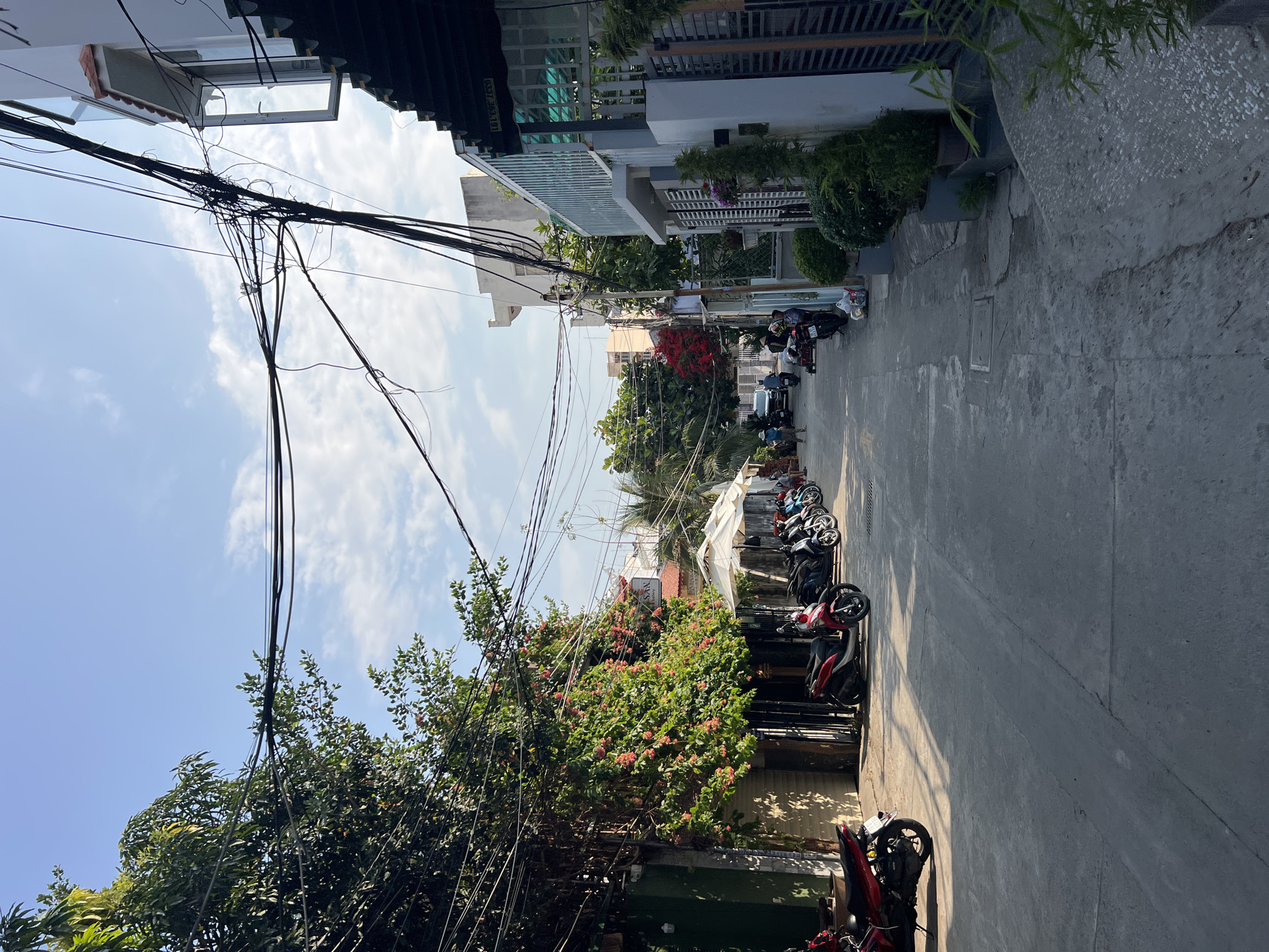 This sunlit image captures a narrow urban street or alleyway in Nha Trang, Vietnam. The scene is characterized by a dense network of black electrical and communication wires tangled overhead, prominently silhouetted against a bright blue sky with scattered white clouds.
Along the right side of the concrete street, numerous motorbikes (scooters) are parked in a neat line, a common sight in Vietnamese cities. In the distance, a few pedestrians are visible, with one person wearing a traditional conical hat (nón lá).
Buildings, ranging from multi-story houses to what appear to be small businesses, line both sides of the street. Some buildings feature modern architectural elements like glass balconies, while others are partially obscured by lush green foliage. Vibrant flowering bushes, with red or pink blooms resembling bougainvillea, add bursts of color to the streetscape. A white canopy or awning is also visible further down the street on the right.
The strong sunlight creates sharp shadows on the pavement and buildings, indicating a clear, sunny day, likely mid-morning or early afternoon. The street itself appears to be well-used, with some visible cracks in the concrete.
Notable visible text includes a phone number, "0347.393.191", on the side of a building, and a partial word, possibly "YVAN", on a white sign above a flowering bush. The overall impression is that of a typical, lively residential or commercial street in a Vietnamese urban setting.