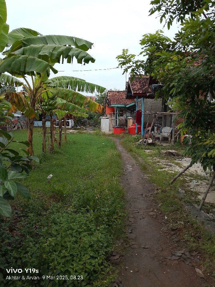 The image shows a dirt path leading past several residential buildings in Anjatan, Indonesia, located at latitude: -6.416, longitude: 107.969. The path is flanked on the left by a row of banana trees and lush green foliage. On the right are the sides of multiple buildings with a partially obscured red, and a blue and white building in the background. There are signs of the building having been used as the clothesline is full of hanging garments. The path appears to be worn and uneven, with patches of grass and debris scattered along its surface. There are no people present.