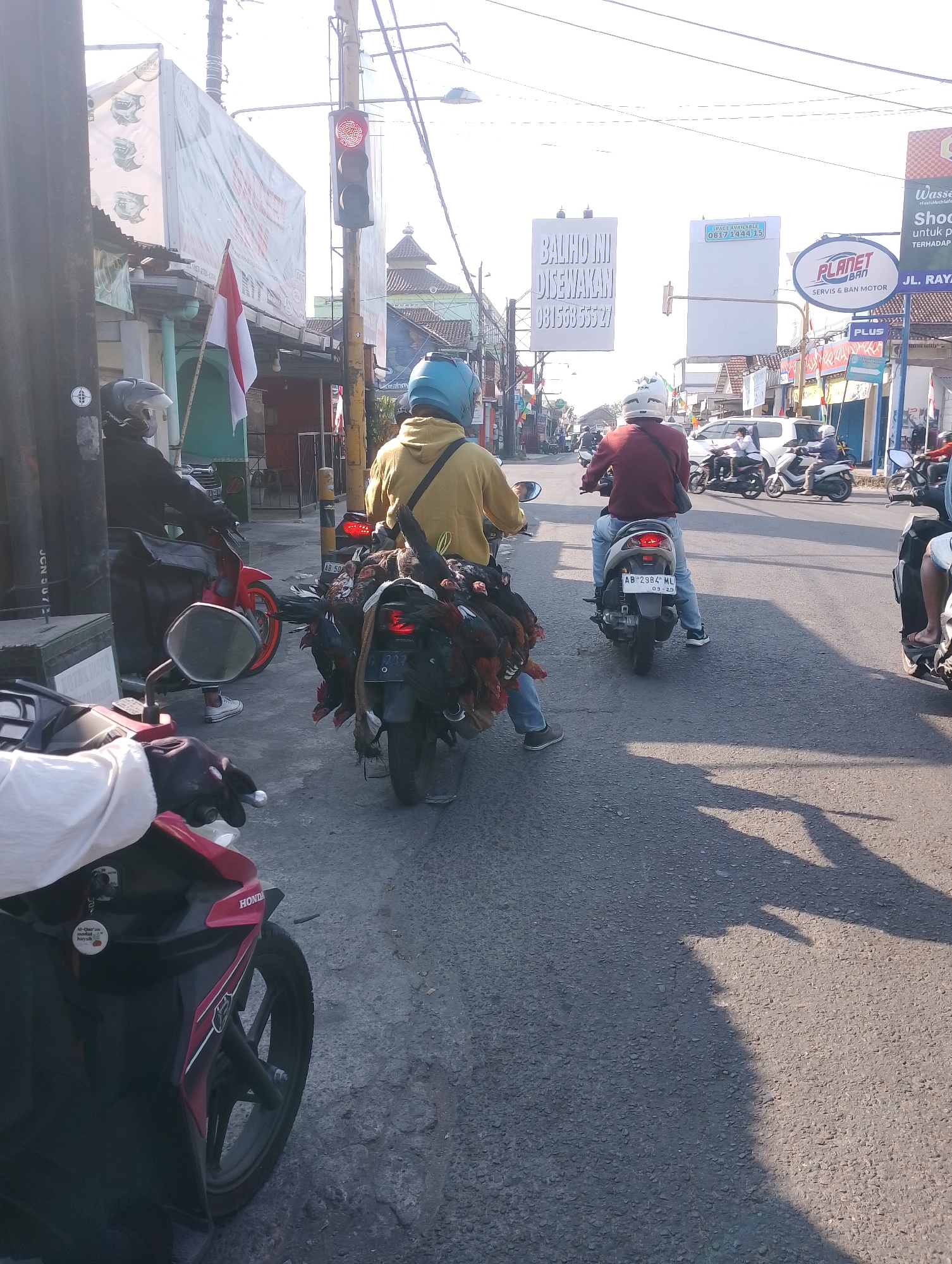 In Trihanggo, Indonesia, several motorbikes are stopped on a road during the day. On the right, a man in a maroon jacket and light blue jeans rides a motorcycle, carrying several dead chickens strapped to the back. To his left, another man in a yellow hoodie and light blue jeans also rides a motorcycle, with a larger quantity of dead chickens attached to his rear. The foreground features the rear of a red and black Honda motorcycle, with its rider's gloved hands visible on the handlebars. A traffic light is visible in the background, appearing to be red. Buildings line the street, with signs including "BALIHO INI DISEWAKAN," "PLANET BAN," and "PLUS." The sun casts long shadows across the asphalt road, indicating it is likely late afternoon.