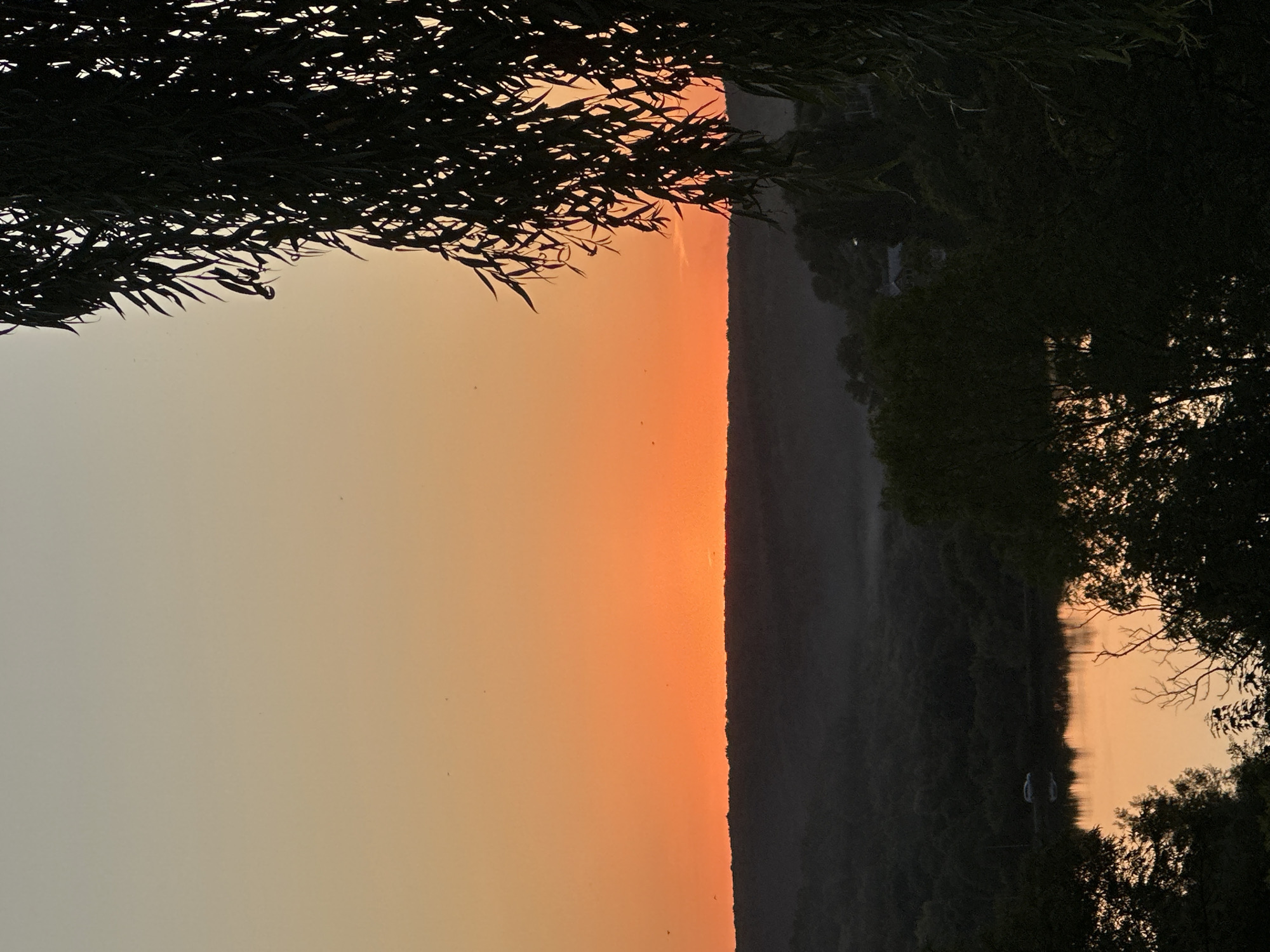 A sunset scene in Makiv, Ukraine, features a vibrant orange sky above a dark, silhouetted landscape of rolling hills and dense trees. In the foreground, the drooping branches of a willow tree partially obscure the view. A calm body of water reflects the warm colors of the sunset. A white car is visible on the shore of the body of water. The overall atmosphere is serene and tranquil, suggesting the end of a peaceful day.