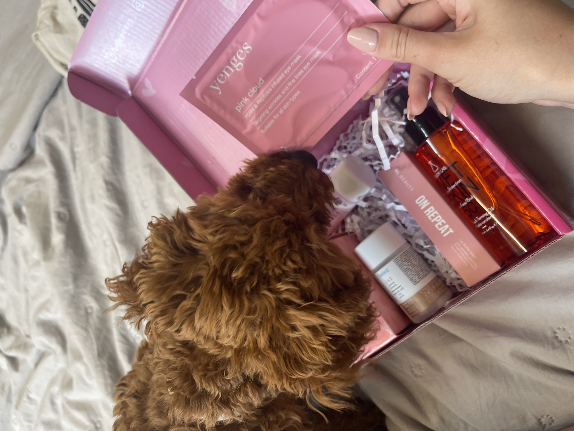 An overhead shot captures an intimate indoor scene, likely in Sofia, Bulgaria, where a person is unboxing beauty products with a curious dog. A light-skinned hand with manicured nails holds up a pink "yenges pink cloud" eye mask packet, which states "FORM & Peptides infused eye mask, Targeting wrinkles and fine lines eye mask, Suitable for all skin types, Content: 1." Below, a fluffy brown dog, possibly a poodle or cockapoo, is seen from behind, its head tilted towards the open pink box, seemingly sniffing or observing the contents.
The pink box is filled with white shredded paper and contains various beauty items. Visible products include a clear bottle with an orange liquid, labeled "OUTH LAB SUNTANNING OIL" with "Beta-Carotene," offering "SPF Protection" for "Face/Body." Next to it is a small pink rectangular box marked "NL BEAUTY ON REPEAT Lip Butter Balm." A white bottle with a silver cap, partially visible, has text including "biotics." The entire arrangement rests on a soft, white textured sheet, suggesting a bed or comfortable surface. The scene is brightly lit, indicating daytime, and portrays a casual moment of unboxing.