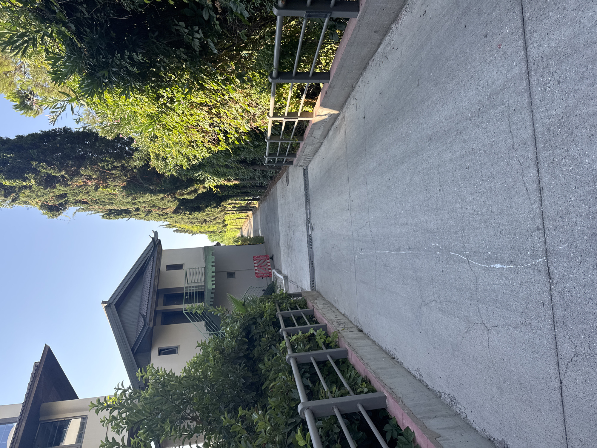 The image shows a concrete driveway leading uphill, bordered by metal railings on either side. Lush green foliage and tall cypress trees line the right side of the driveway, while a multi-story building with an oriental-style roof is visible on the left. The building has a light-colored facade with dark trim and green stairs leading up to an entrance. In the distance, the driveway curves and is partially obstructed by a red and white barrier. The sky is clear and blue. The scene is likely located in a residential or resort area, possibly within Aksu, Turkey, given the architectural style and vegetation. There are no people or animals visible in the image, and no overt signs of activity or conflict.
