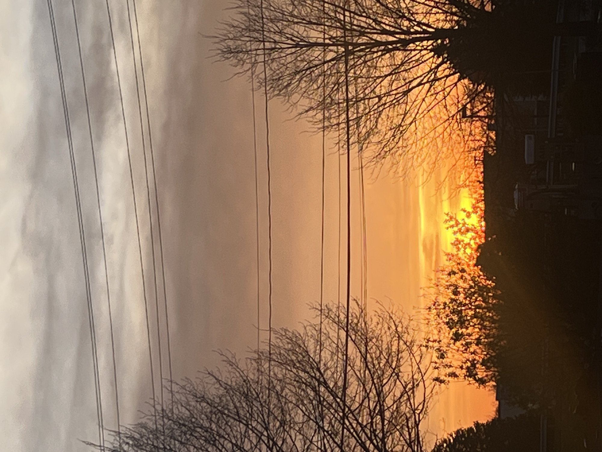 Captured in what appears to be the City of Newburgh, United States of America, is a vivid sunset. Silhouetted trees, their bare branches tracing intricate patterns against the sky, frame the composition. Running parallel to the branches on the left side of the image are utility wires. The sunset itself is a blend of orange and yellow hues, creating a bright horizon. The location is difficult to pinpoint exactly without additional contextual information. The interplay of natural elements and urban infrastructure is apparent in the scene.