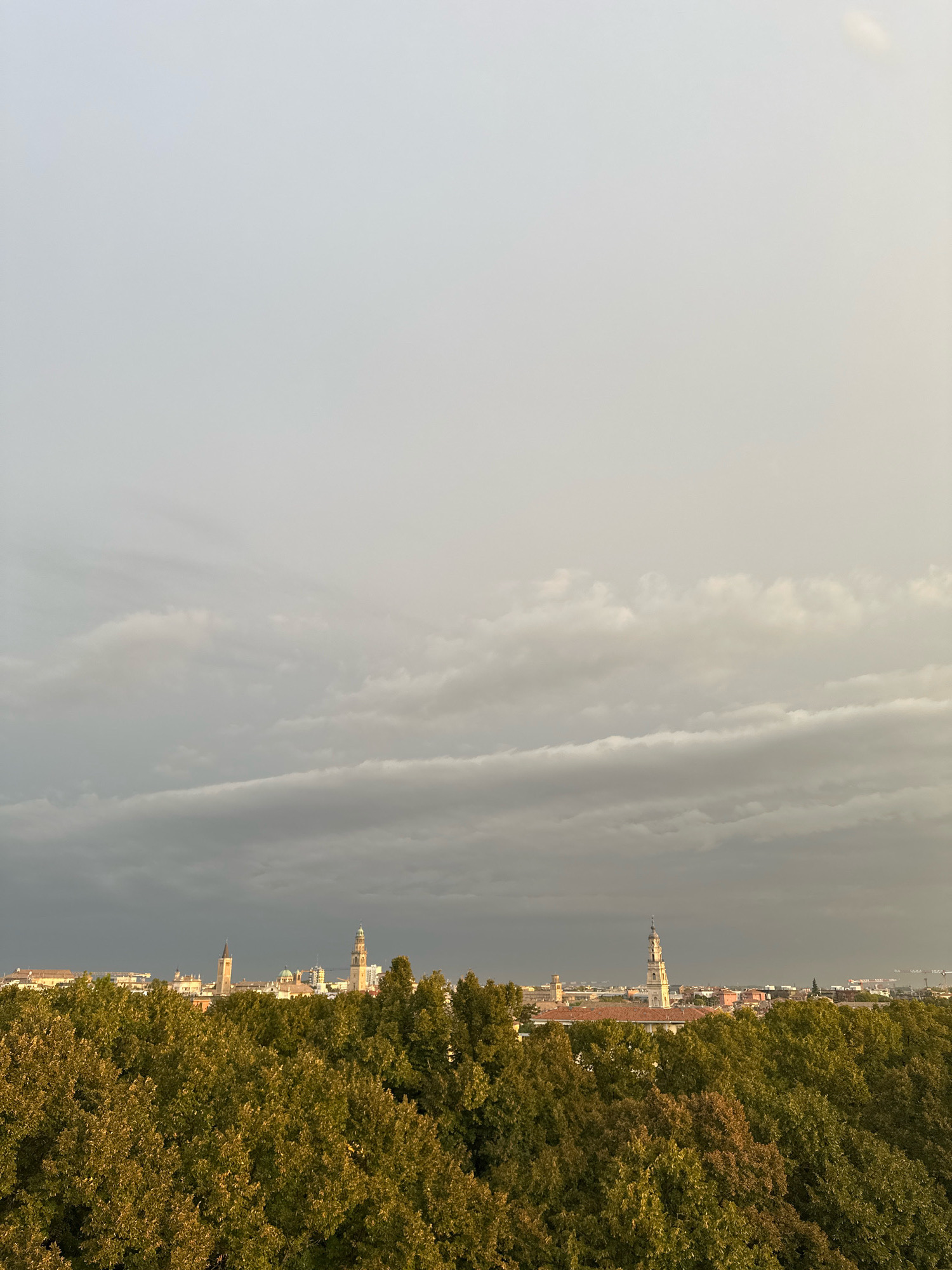 A panoramic view of the city of Parma, Italy, taken from a high vantage point, shows a dense line of trees in the foreground, their leaves a mixture of green and autumnal hues. Beyond the trees, the city skyline emerges, punctuated by numerous buildings and prominent church towers. The sky above is overcast with layered clouds, ranging in color from a pale, hazy gray at the top to darker, more ominous shades closer to the horizon, where a faint sunlight attempts to break through. The overall atmosphere suggests the approach of a storm or the aftermath of a recent shower.