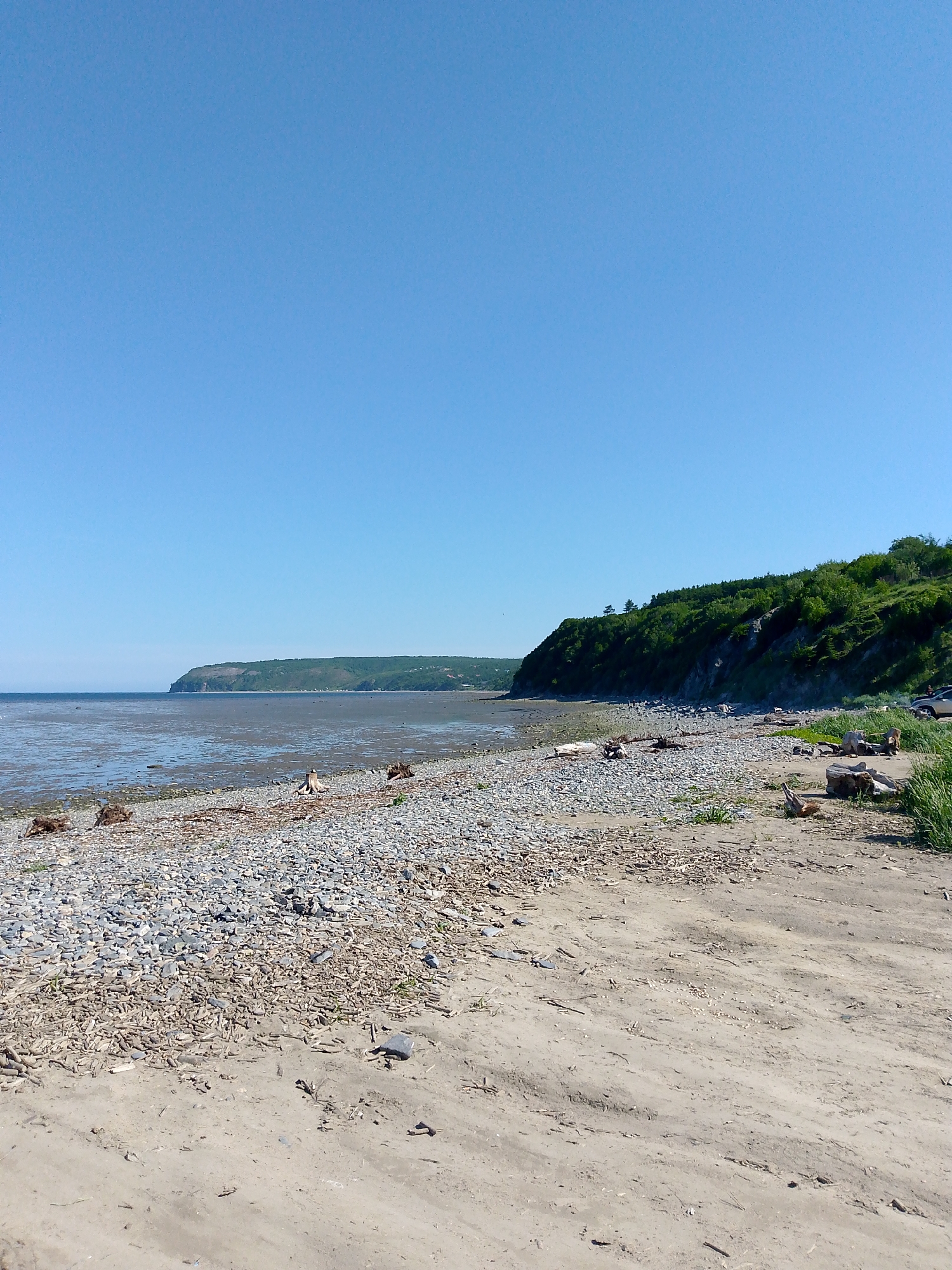 The image depicts a coastal scene on a clear, sunny day. A wide, shallow body of water, likely the sea at low tide, stretches across the middle ground, revealing a muddy, reflective surface. The foreground is a beach composed of sand and a significant amount of pebbles and small stones. Scattered across the pebble-strewn area are numerous pieces of driftwood and larger logs.
To the right of the frame, a grassy embankment rises, densely covered with green trees and vegetation, forming a lush hillside. A faint dirt track or road is visible at the top of the embankment, and a car is parked there. In the distance, a long, rounded hill covered in vegetation forms the horizon line. The sky is a uniform, clear blue.
The image appears to be a natural landscape, possibly a remote or undeveloped coastline. There are no immediate indications that this location is within the city of Magadan, Russia, based solely on the visual information provided. The scene is devoid of any explicit signs or structures that would confirm its specific geographical location. The overall impression is one of a serene, natural environment.