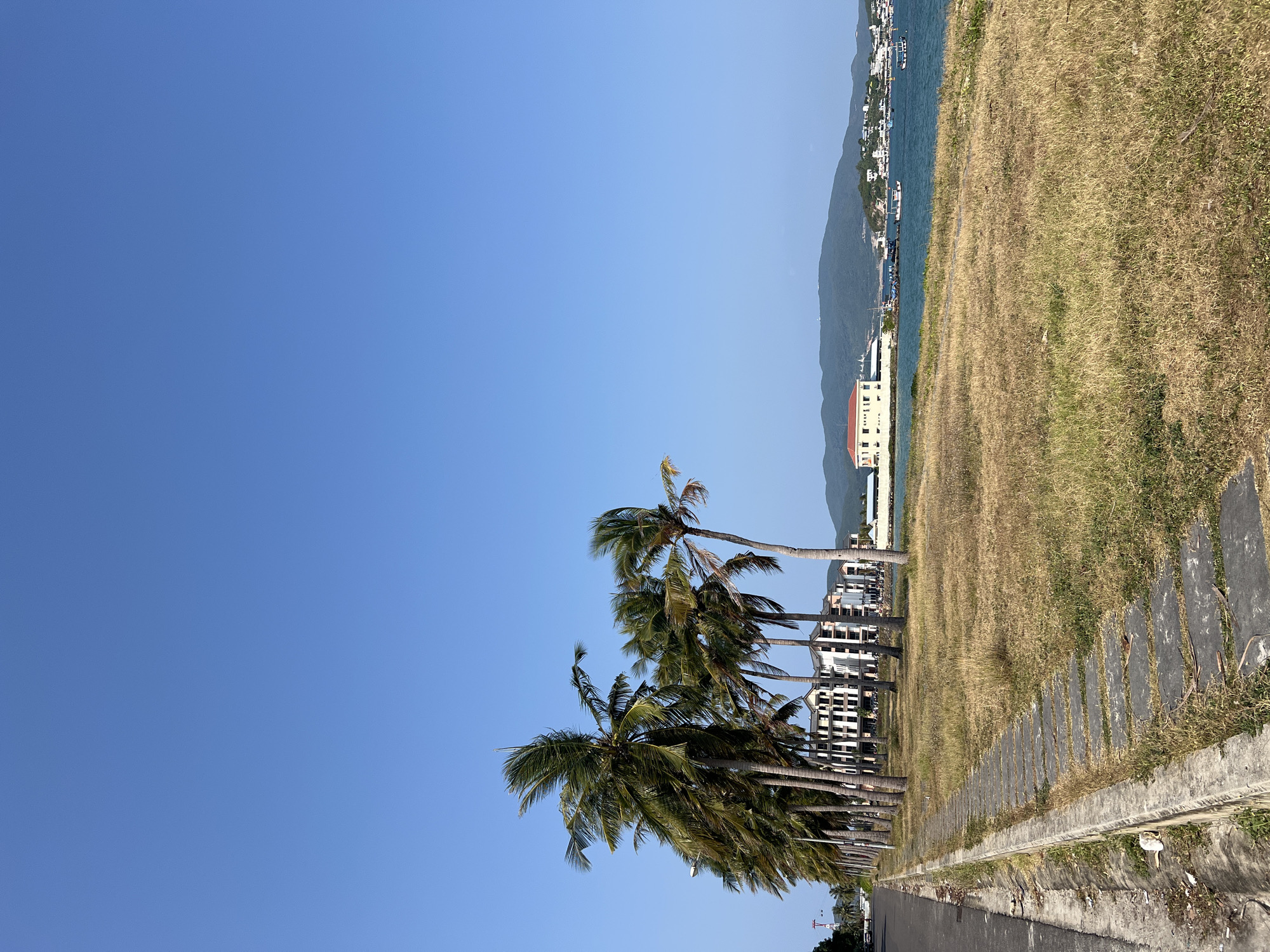 The image captures a bright, sunny coastal landscape, rotated 90 degrees clockwise from its natural orientation. If viewed correctly, a vast expanse of clear blue sky dominates the top left portion of the frame. Below this, a row of tall palm trees with vibrant green fronds stretches diagonally from the mid-left towards the center and background, suggesting a boulevard or promenade.
To the right of the palm trees is a wide area of dry, yellowish-brown grass, interspersed with some patches of green vegetation. A concrete pathway or drainage ditch runs along the edge of this grassy area in the foreground, indicating a roadside or public space. Further into the background, beyond the palm trees and grass, lies a shimmering blue body of water, likely a bay or ocean, dotted with several boats and smaller vessels.
Along the far side of the water, several multi-story buildings are visible, including one prominent white structure with a red roof. These buildings appear to be part of a developed coastal area. In the distant background, gentle mountains or hills rise, creating a scenic backdrop against the horizon. The bright light suggests it is daytime, under a clear, cloudless sky, contributing to a tranquil and warm atmosphere. No specific human activity is discernable, and there is no visible text in the image. The scene aligns with a tropical or subtropical coastal setting, consistent with Nam Nha Trang, Vietnam.