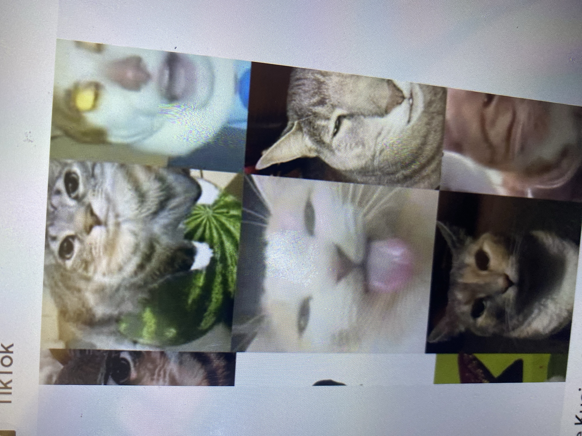 The image is a collage of multiple images of cats. In the top left, a cat's face is partially visible, with its eye and fur pattern discernible. To its right, a tabby cat is shown against a green background, possibly a watermelon. Further to the right, a cat's face is distorted, with yellowed eyes and a red nose, appearing to be a meme. Below the first row, a white cat with pink markings is shown with its tongue sticking out. To its right, a tabby cat is looking to the left with one eye partially closed. At the bottom left, a calico cat with a serious expression is visible. To its right, a blurry image of a cat's face is present, showing its nose and mouth. The overall scene appears to be a digital display, likely a computer screen or a phone, showing a collection of cat images. There is no information about the location in the city of Ta', Indonesia, or any other environmental details.