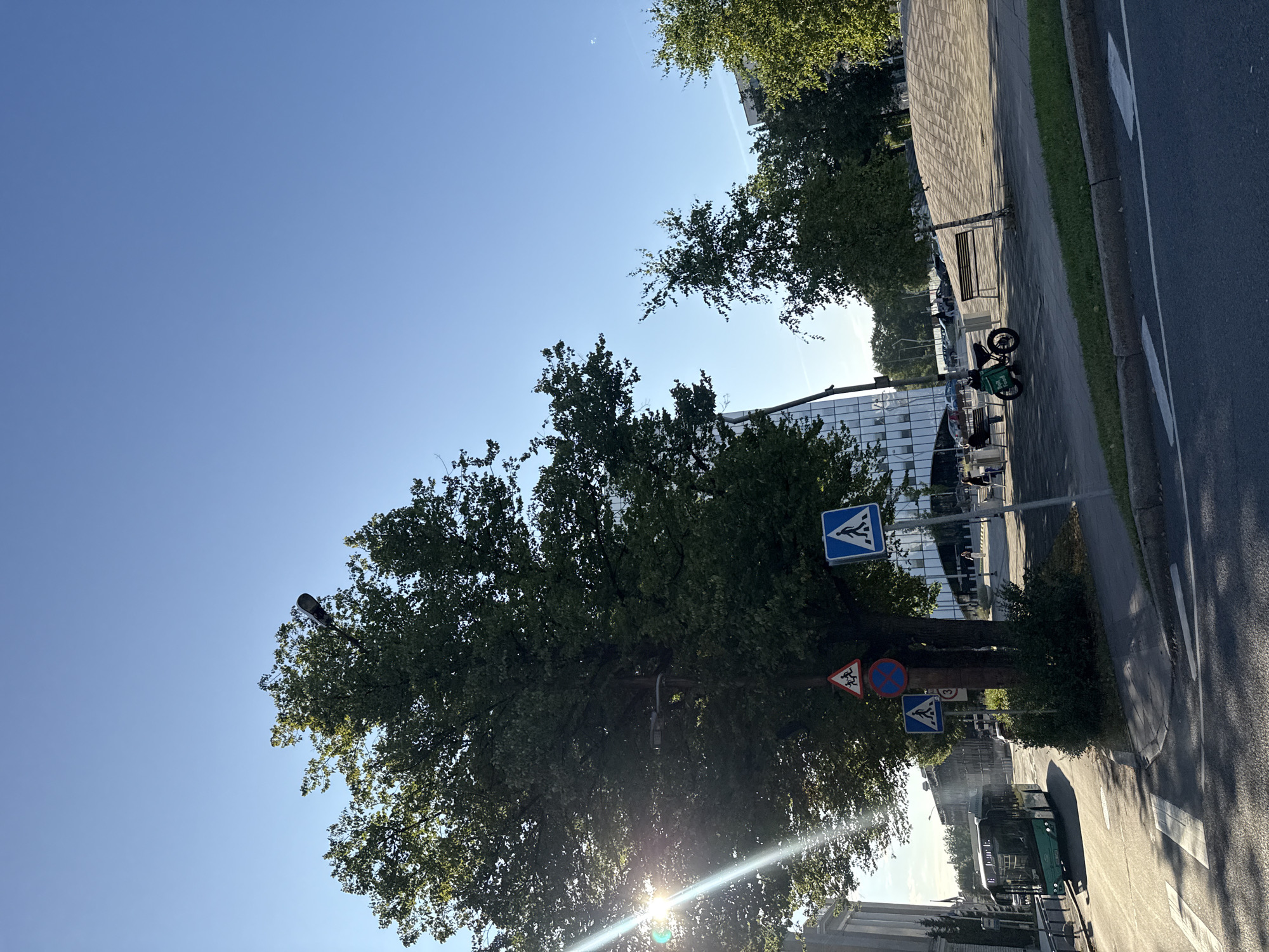 This image captures a sunny day in Tallinn, Estonia, likely in a modern urban area. In the foreground, a street with a crosswalk is visible. A green city bus is driving away from the camera on the left side of the street. A large tree with dense green foliage dominates the center of the frame, with a streetlight attached to it. Several traffic signs are mounted on the tree: a warning sign with children playing, a circular sign with a red border and a blue background indicating no stopping, and a blue square sign with a white pedestrian symbol.
Beyond the tree, a modern building with a glass facade rises on the right. In front of this building, there is a paved area with benches, and a few people are walking. A green electric scooter with a large storage box on the back is parked on the paved area. The sky is clear blue, with the sun shining brightly and casting lens flare on the left side of the image. In the background, other buildings and trees can be seen. The overall impression is a vibrant, contemporary cityscape bathed in sunlight.